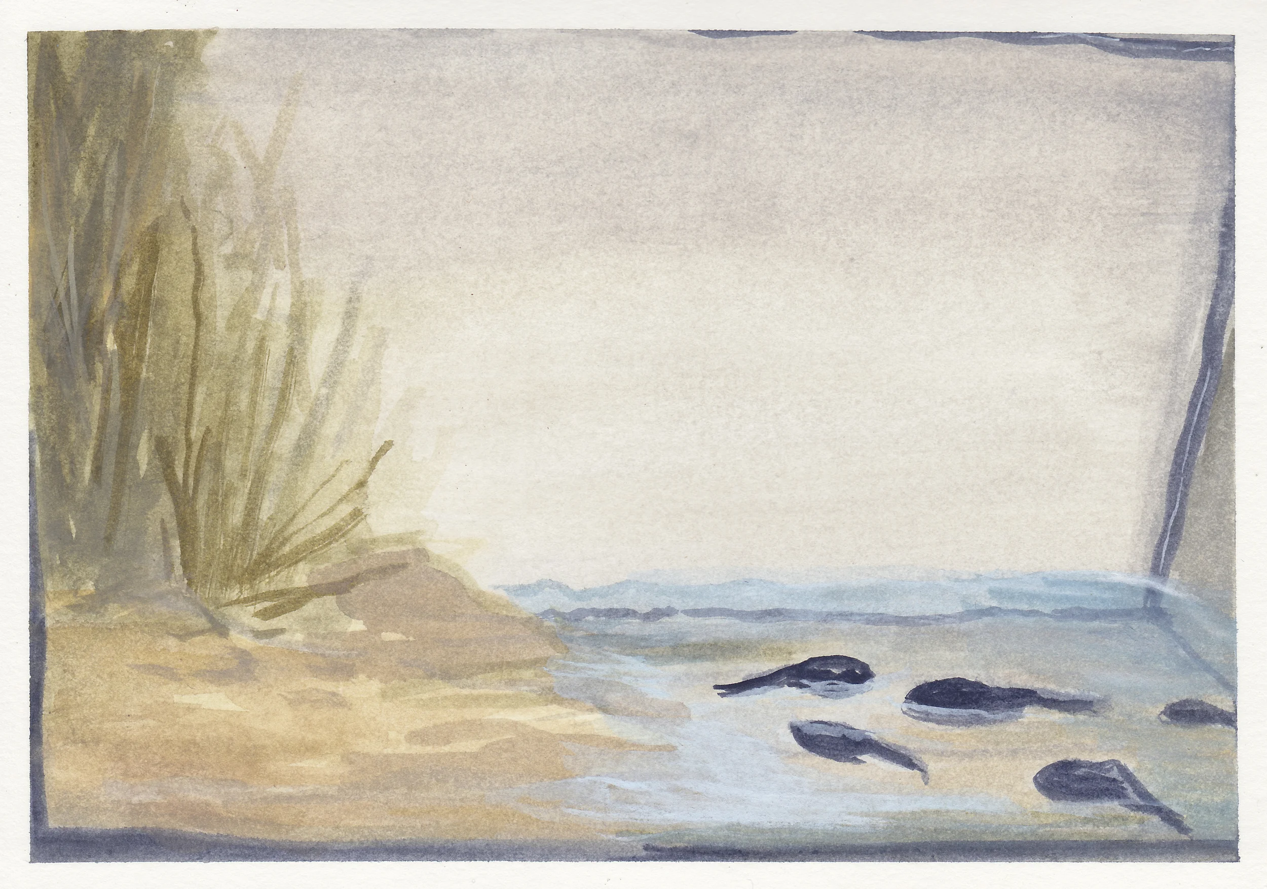 tadpoles watercolor and gouache 4.5x6.5" 2015