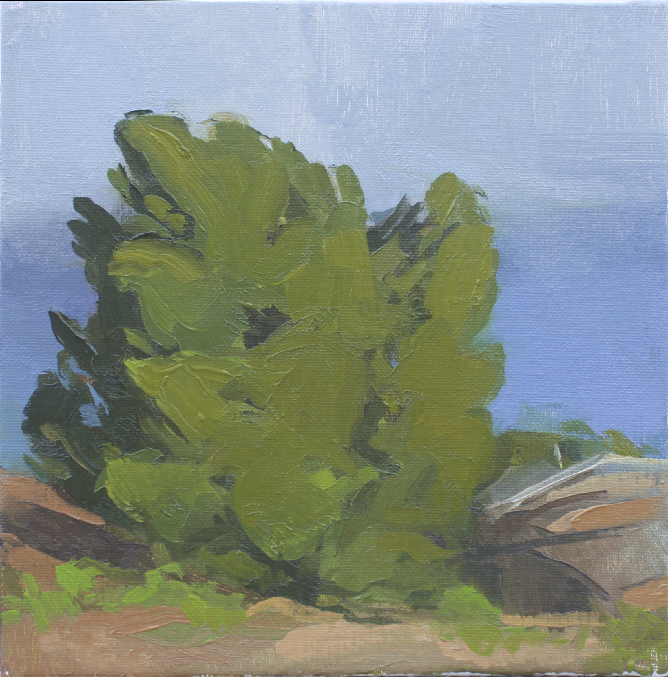    tree on dartmoor     oil on canvas 8x8" 2013  private collection Studio City, CA 