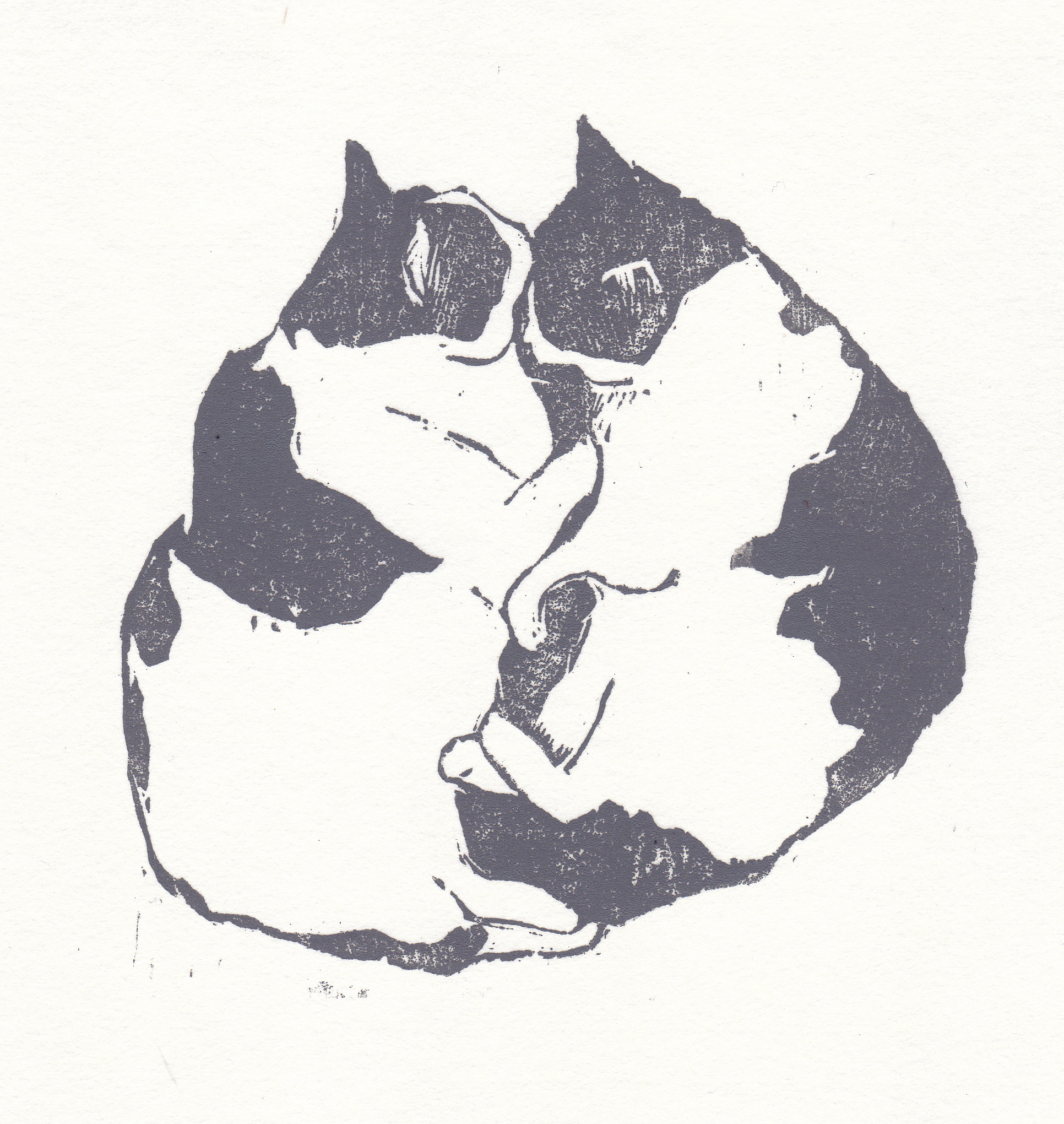   kitties  woodblock print edition of 30 5.25 x 5.25" 2013   purchase  