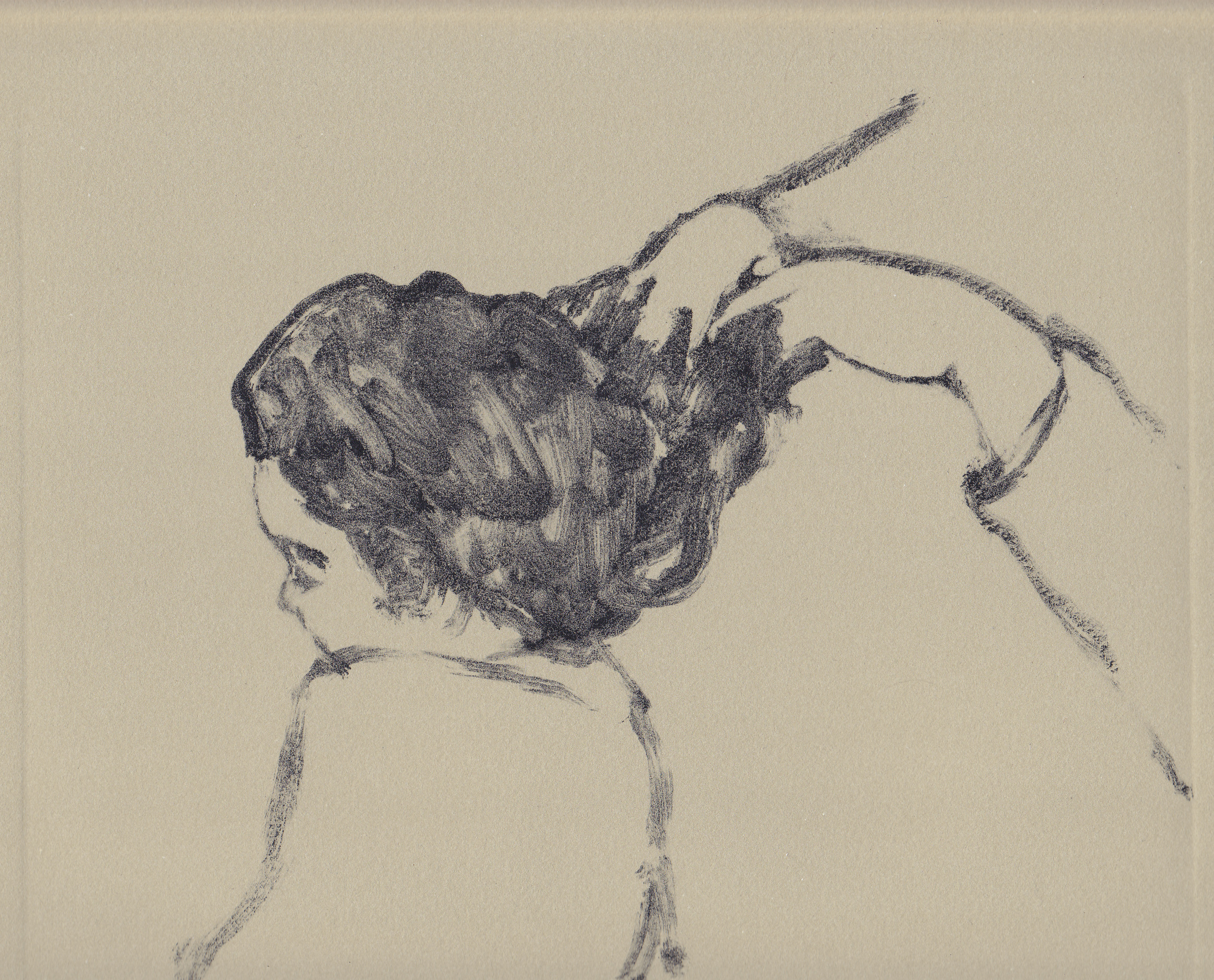   hair   ink on paper  7.5x9.75  2014 