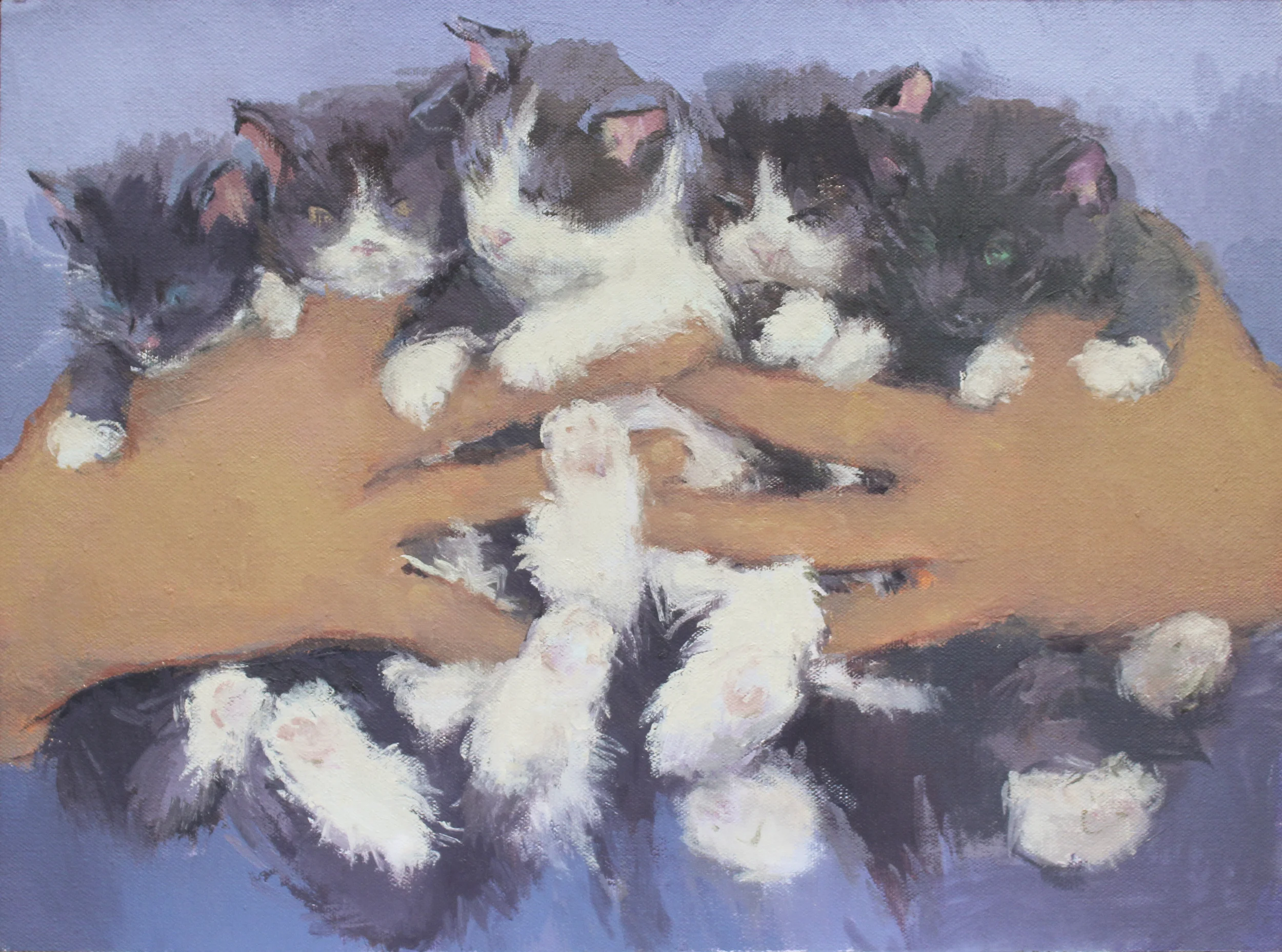 kitten caboodle oil on mounted canvas 10.5x14" 2015 private collection Naples, FL