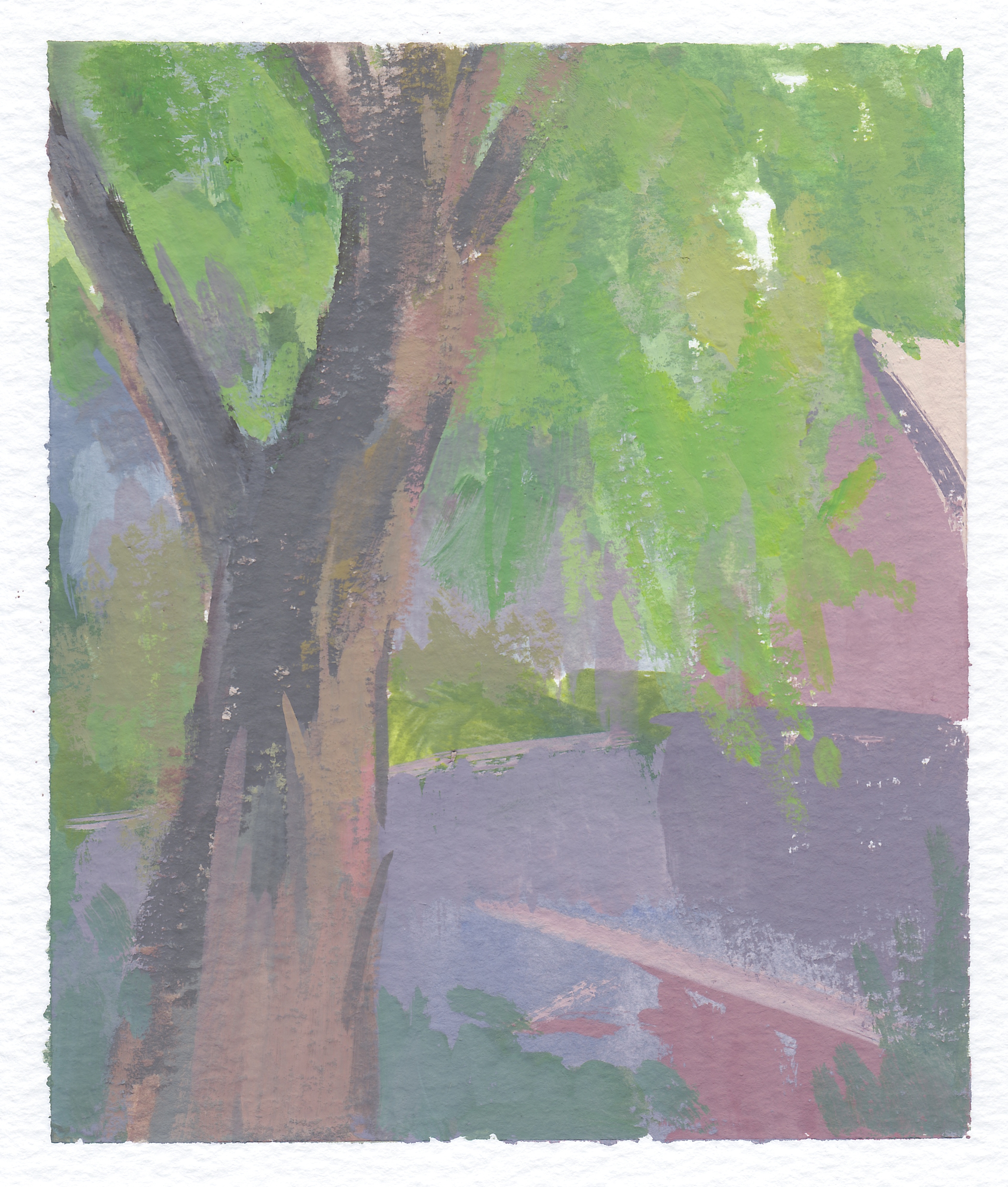    oak     gouache on paper 4x5" 2016  available by request 