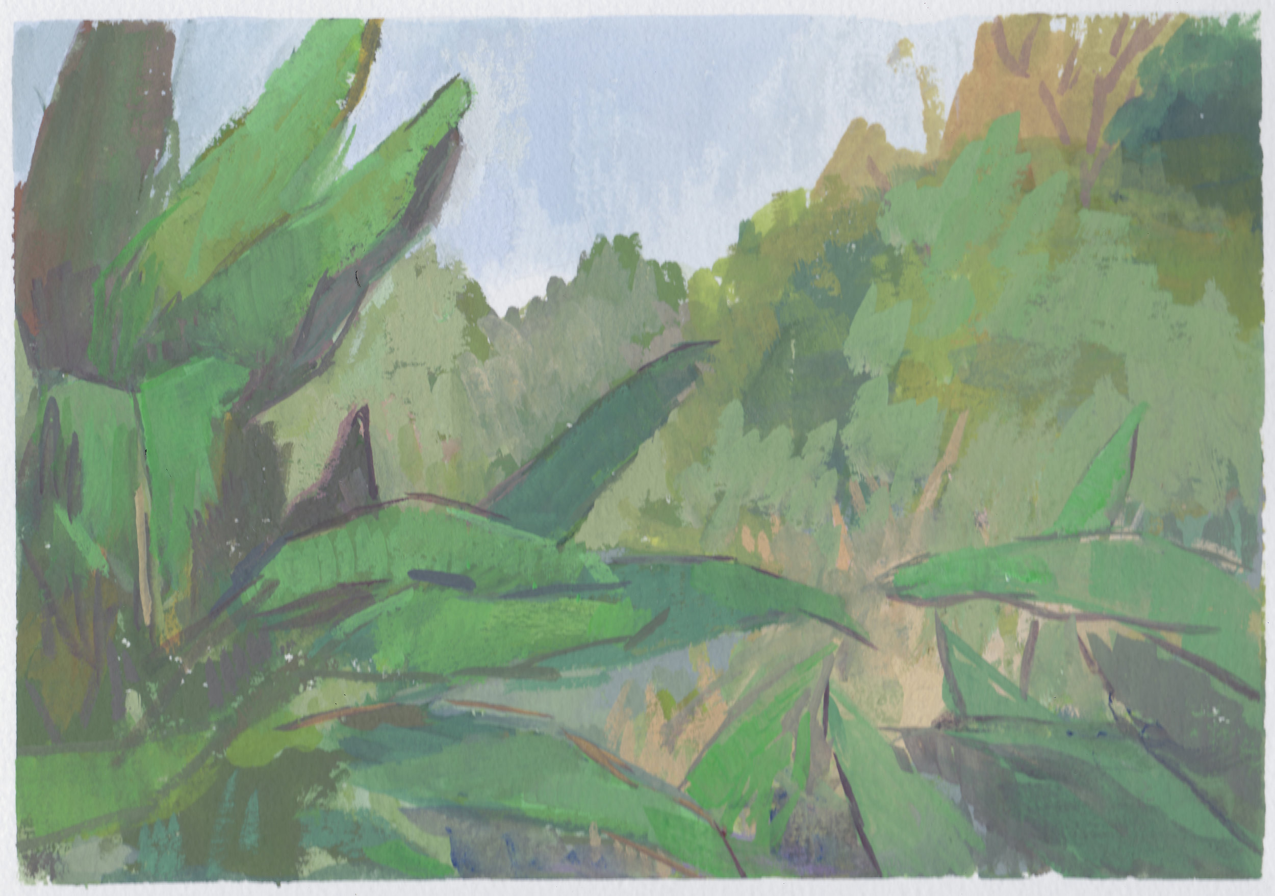    banana trees     gouache on paper 7x10.25" 2017  private collection Nashville, TN   