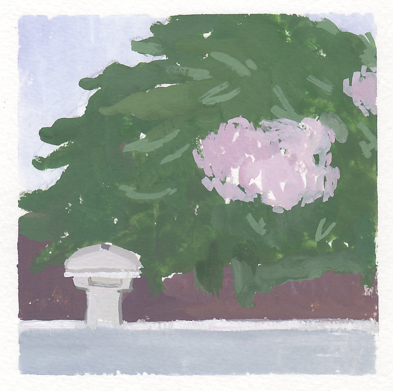    poolside hydrangeas     gouache on paper 4x4" 2017  collection of the artist 