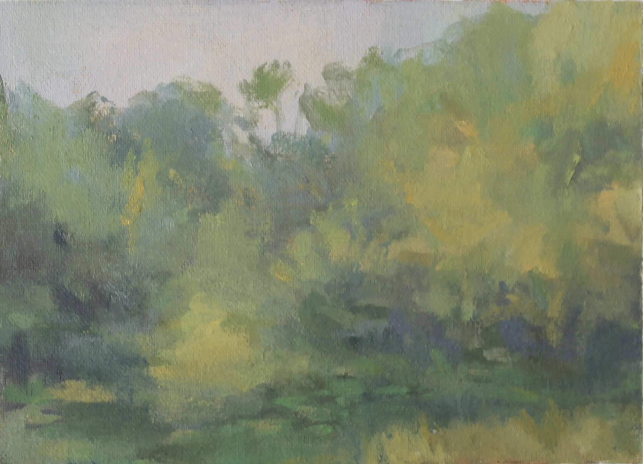 palm swamp oil on canvas 5x7” 2018 purchase