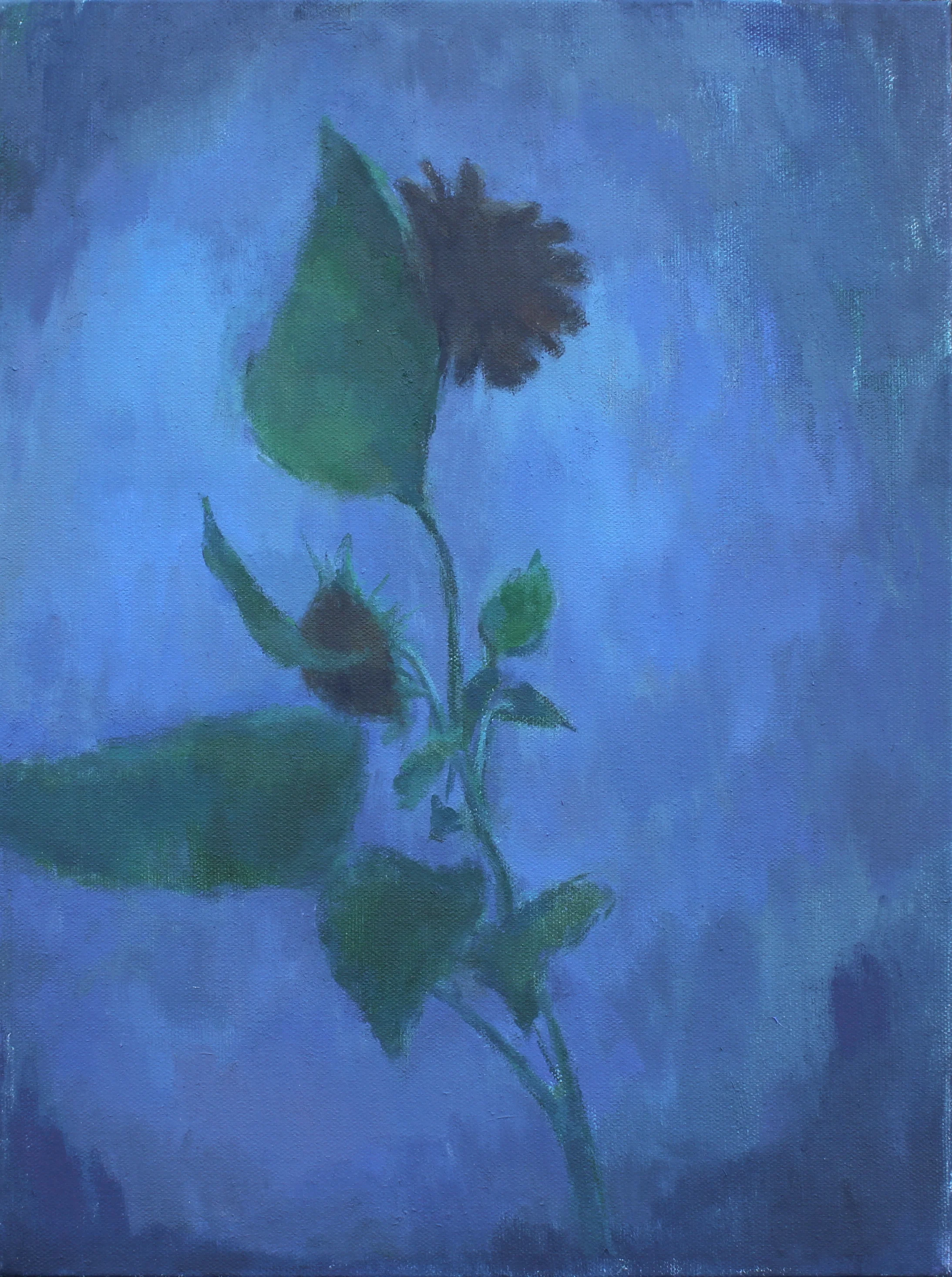Two Queens at Night oil on canvas 12x16” 2019 purchase