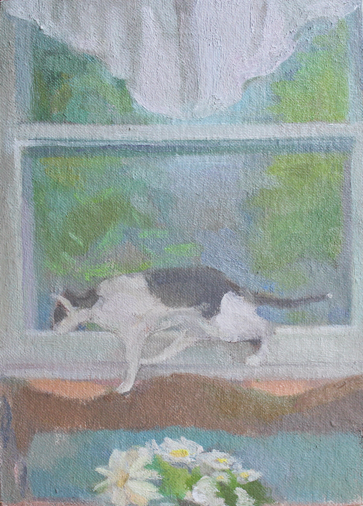    Window View with Jacques, Daisies, and Valance     6 x 8.25” oil on mounted canvas 2019  private collection Tennessee  