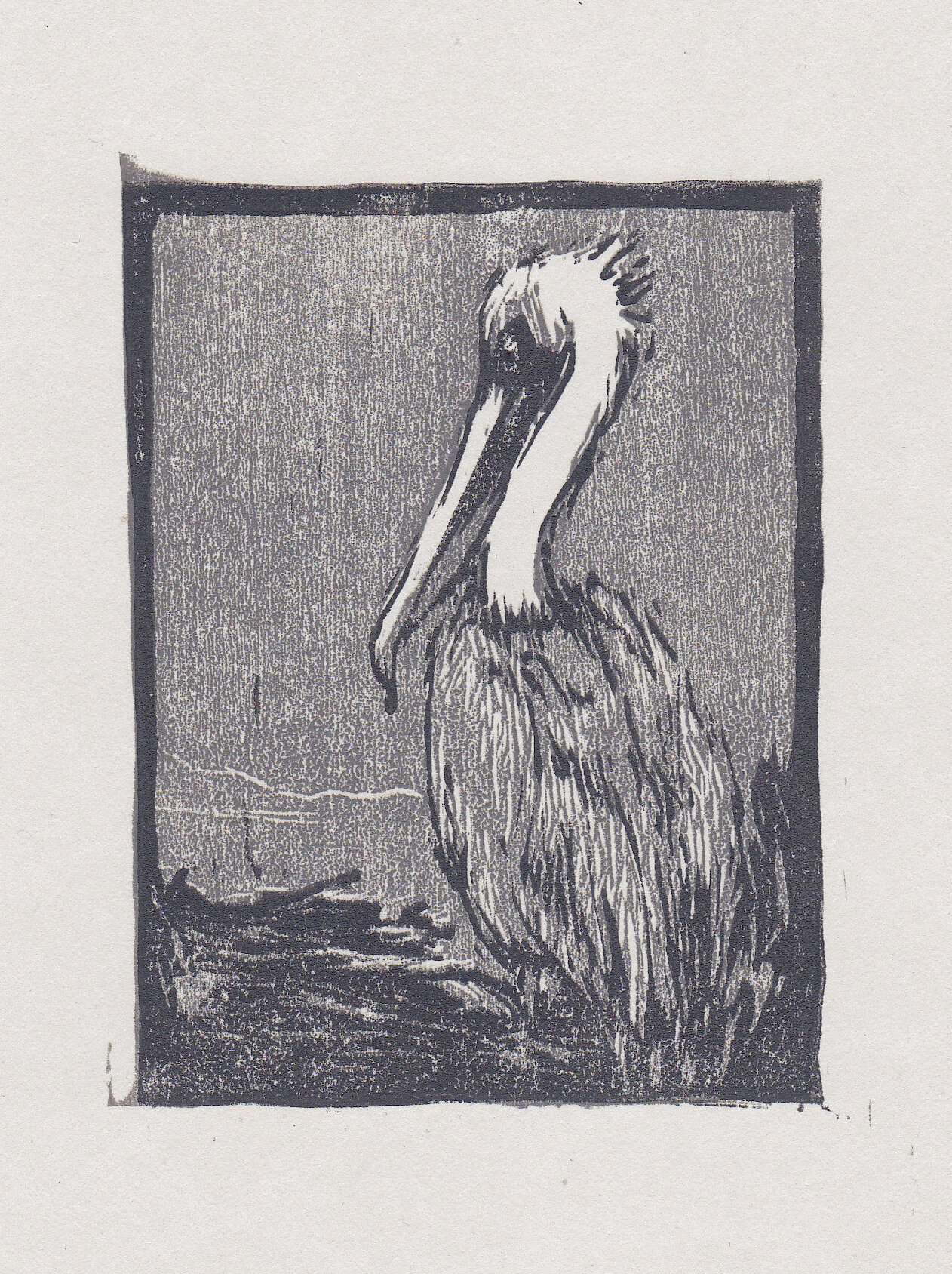   brown pelican  woodblock print edition of 40 3x4" 2013   purchase  