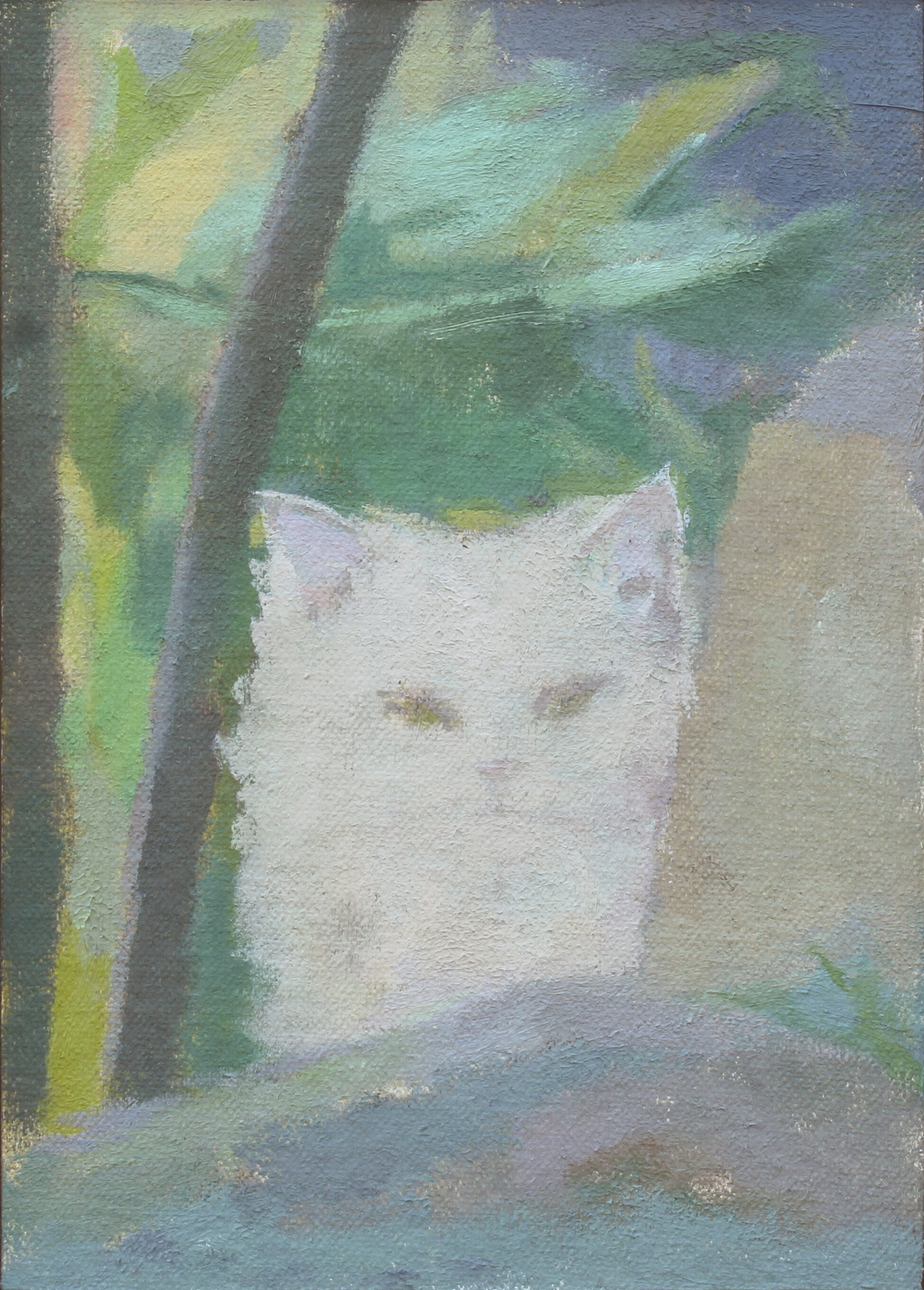    White Cat Behind a Rock   oil on canvas 5 x 7” 2020  private collection California 
