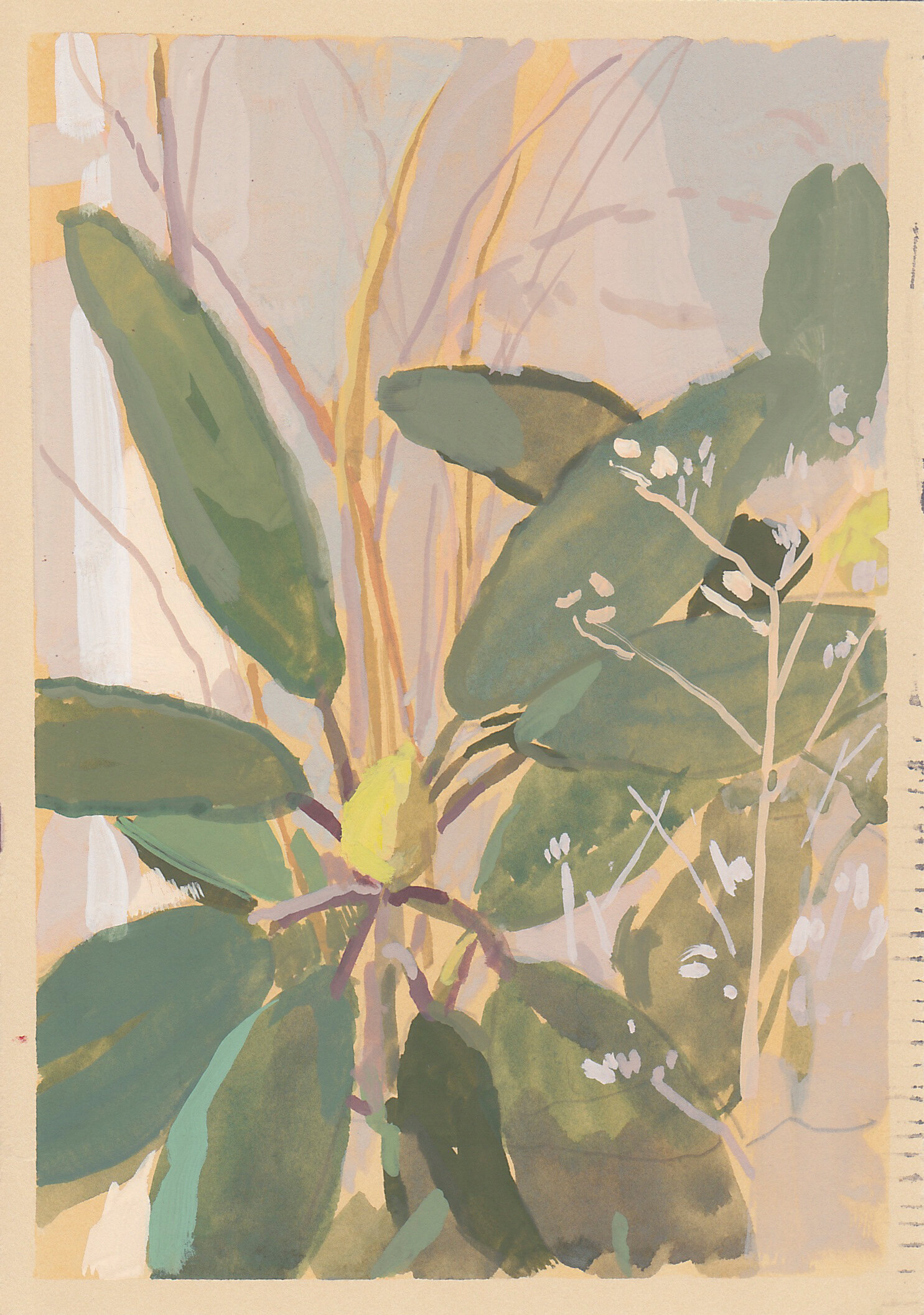    spring bud     gouache on paper 6.5 x 4.5” 2018   collect this painting  