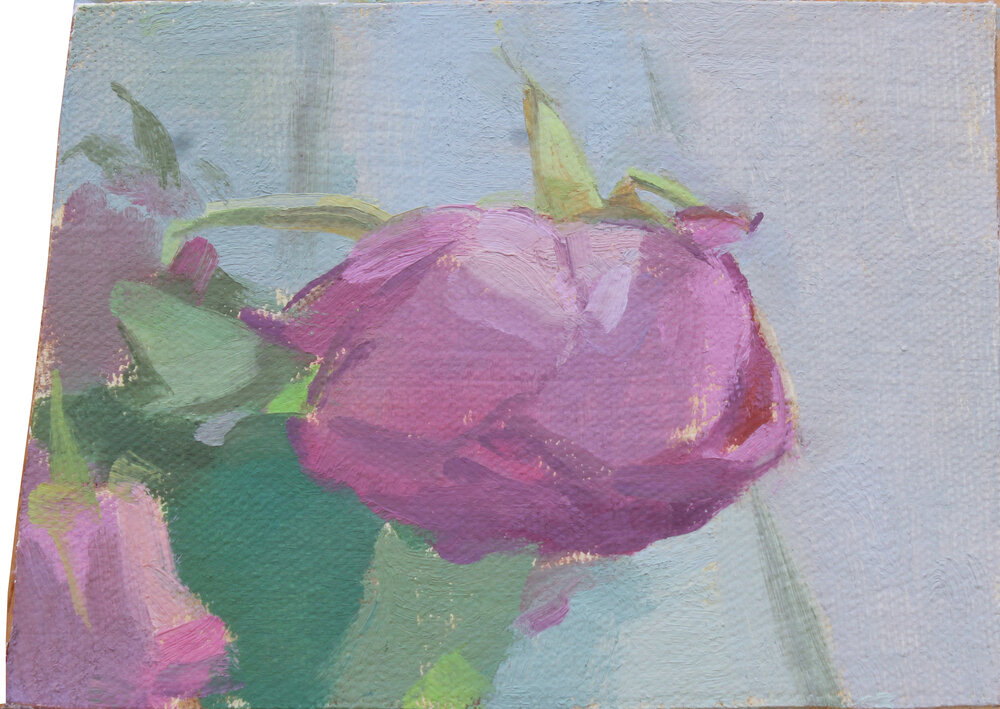    wilted rose   oil on canvas 3.75 x 5.25”   purchase  