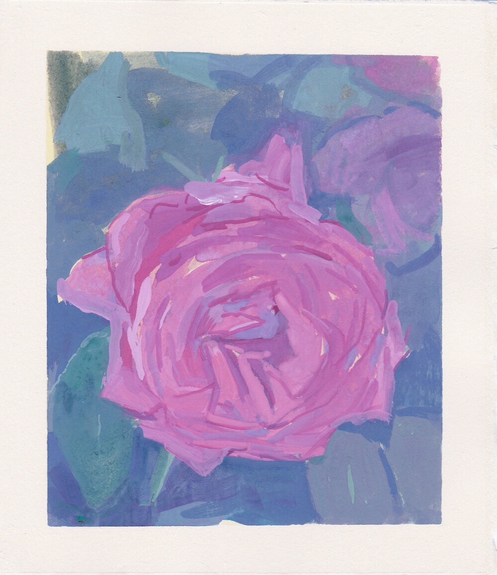    sweet rose   watercolor + gouache on paper 5.75" x 4.75"   purchase  