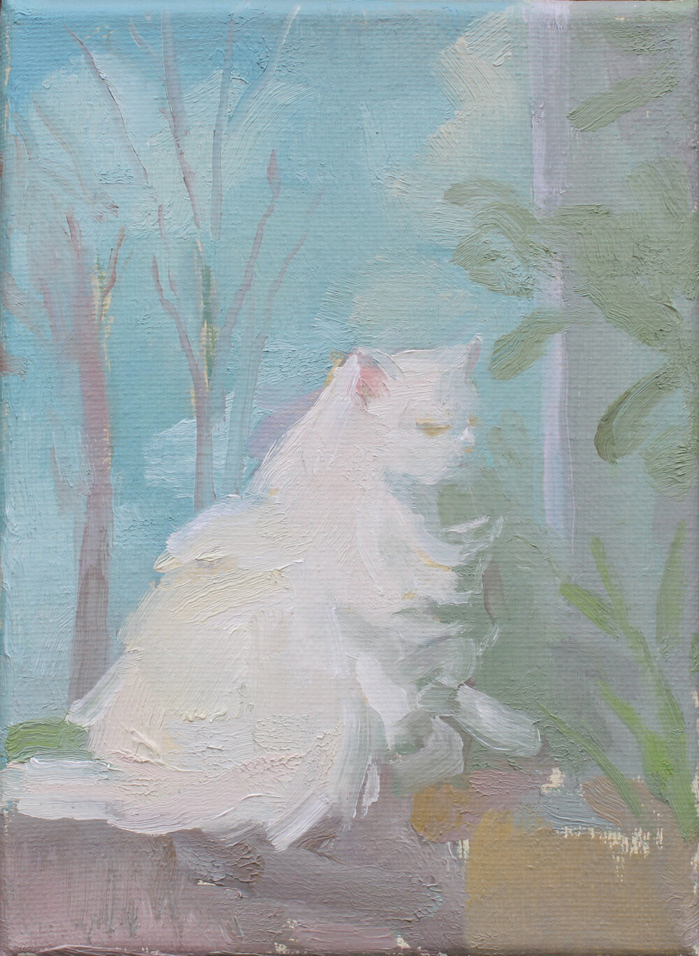    White Cat in Spring   oil on canvas 7 x 5”   purchase  