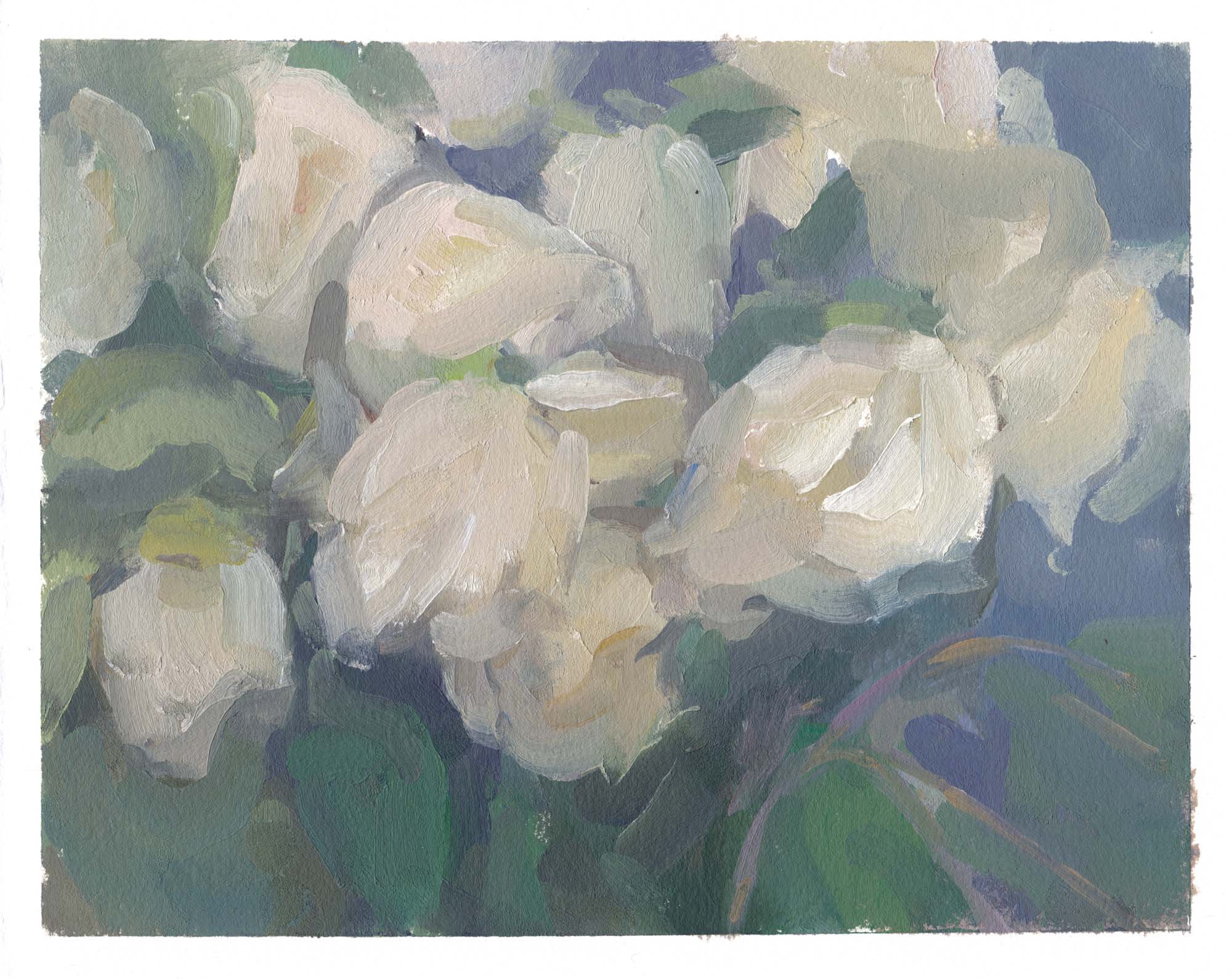    soft white roses     oil on paper 8x10" 2017   collect this painting  