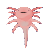 Axy1.gif