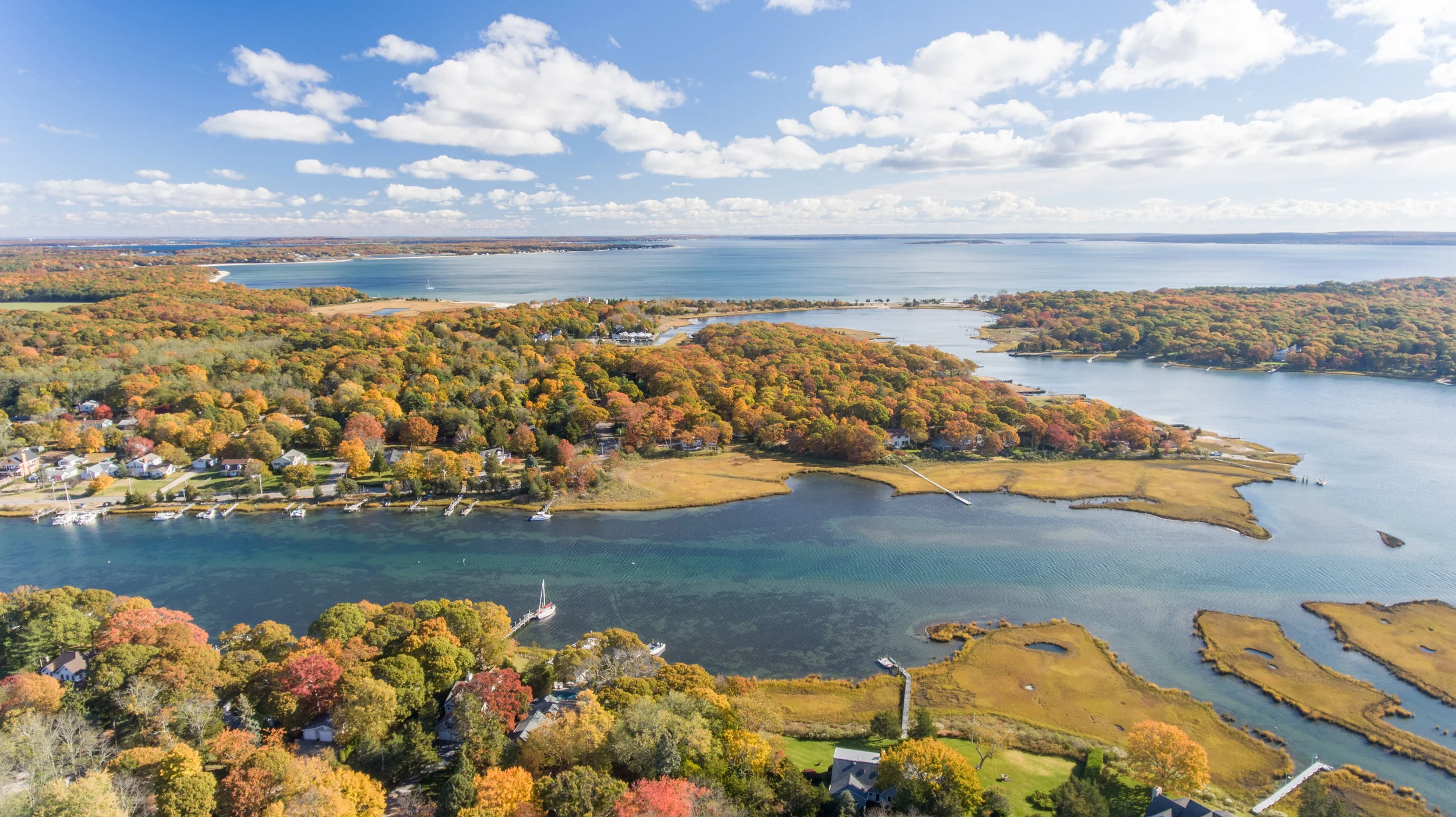northforkfoliage-1.jpg