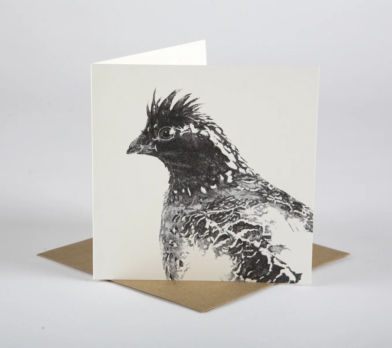 Masked Bobwhite Quail - Square Blank Card - Rally Caller - Sarah Kaizar - Endangered Species Art