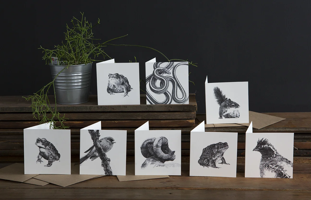 Mount Graham Red Squirrel - Square Blank Card - Rally Caller - Sarah Kaizar - Endangered Species Art