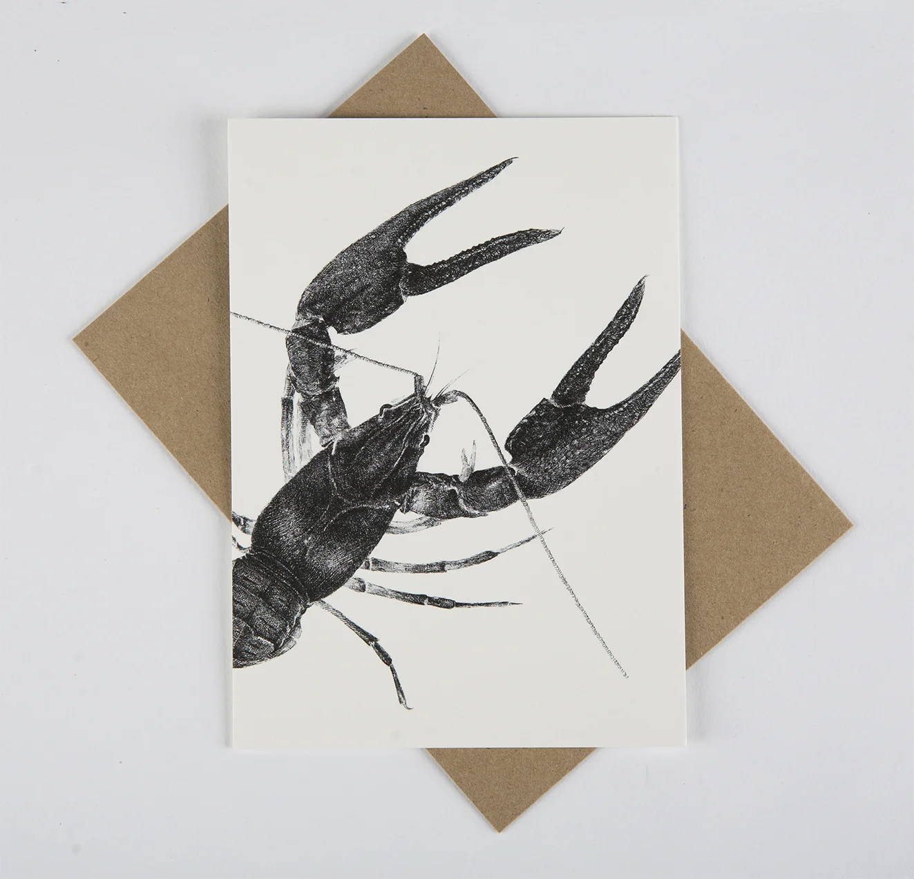 Nashville Crayfish - Flat Card - Rally Caller - Sarah Kaizar - Endangered Species Art
