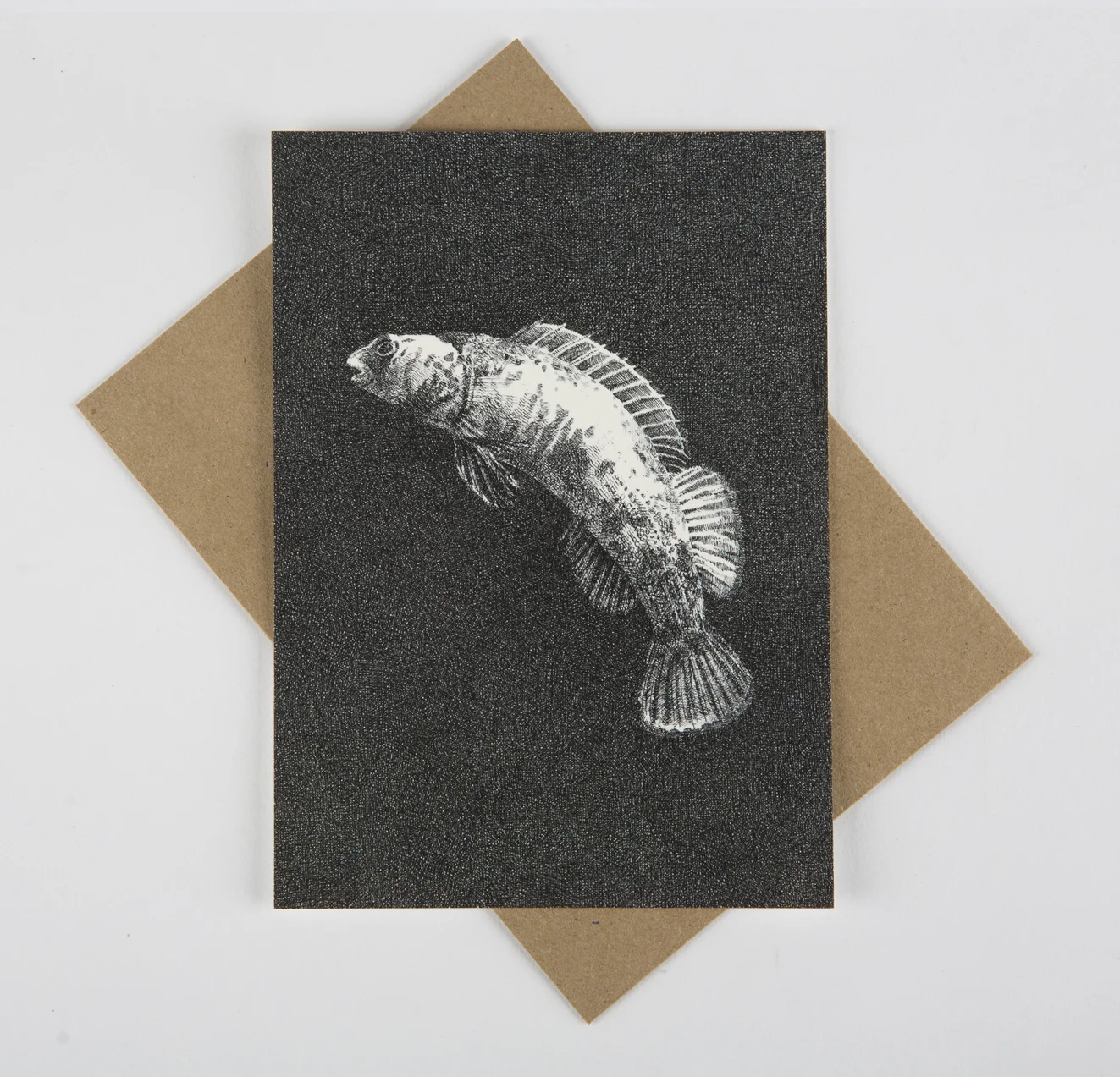 Boulder Darter - Flat Card - Rally Caller - Sarah Kaizar - Endangered Species Art