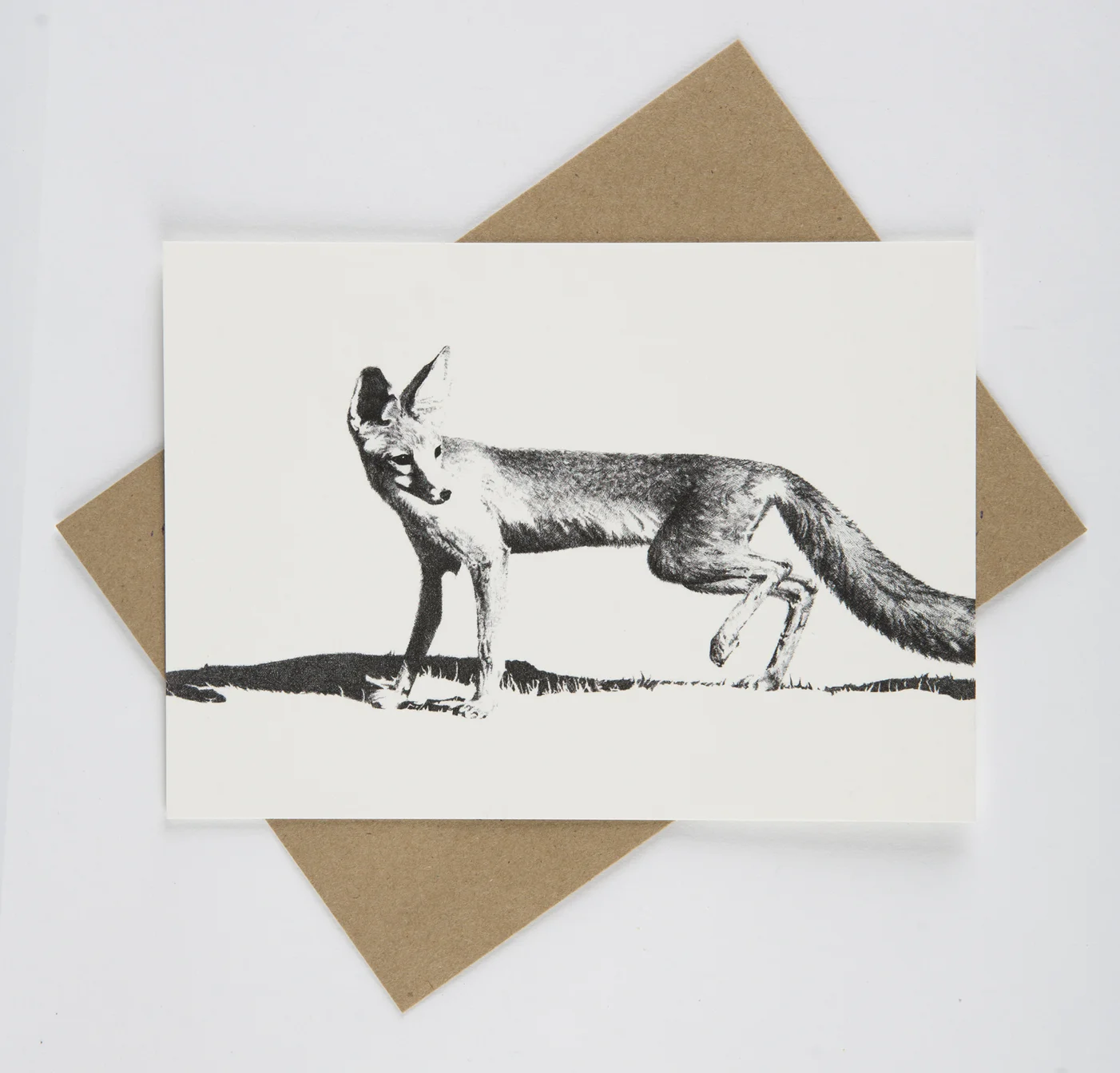 San Joaquin Kit Fox - Flat Card - Rally Caller - Sarah Kaizar - Endangered Species Art