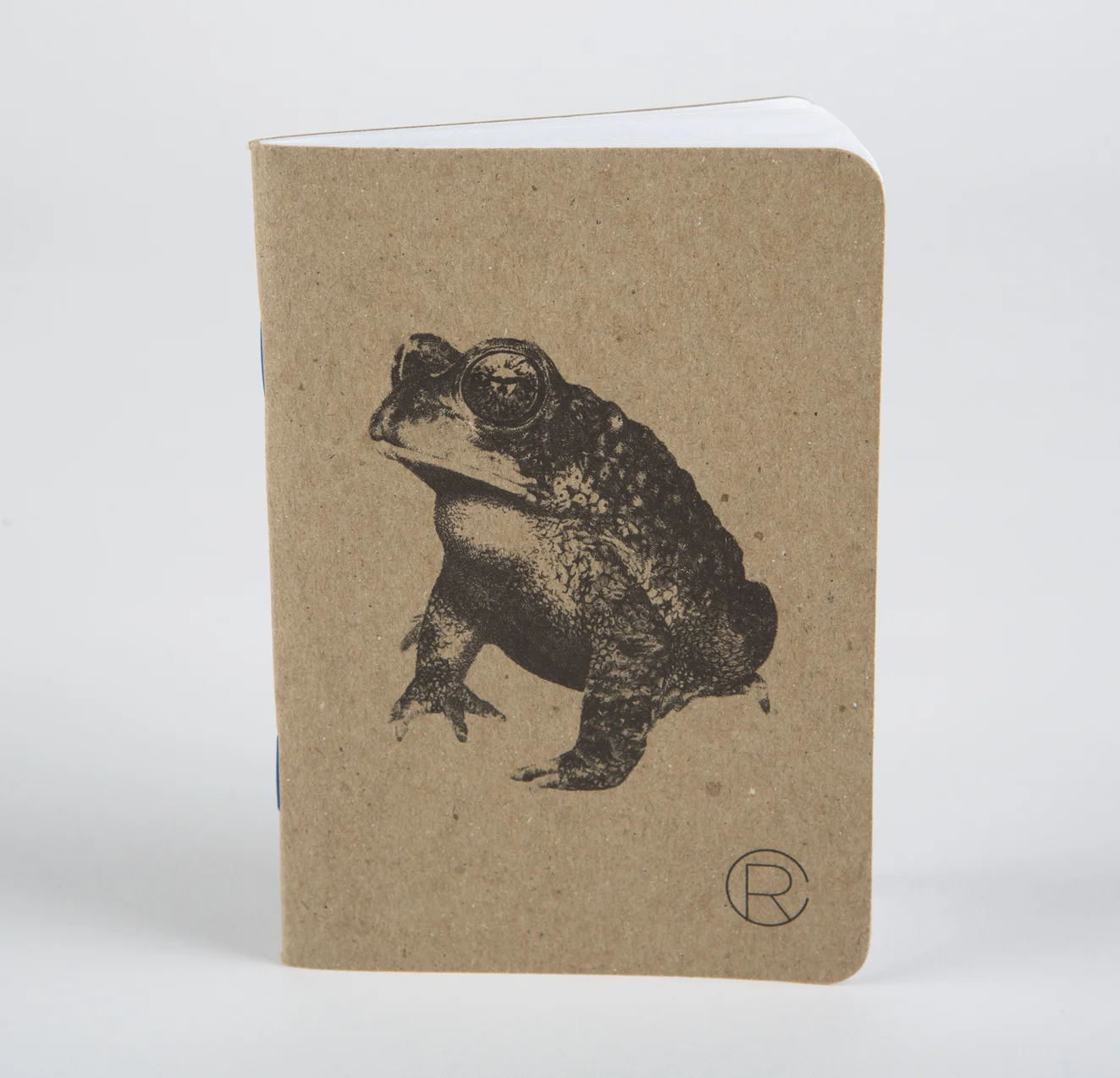 Arroyo Toad - Field Journal - Rally Caller - Sarah Kaizar - Endangered Species Art