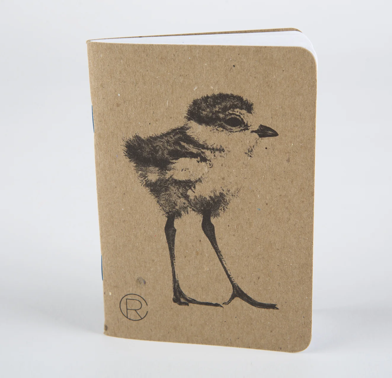 Piping Plover - Field Journal - Rally Caller - Sarah Kaizar - Endangered Species Art