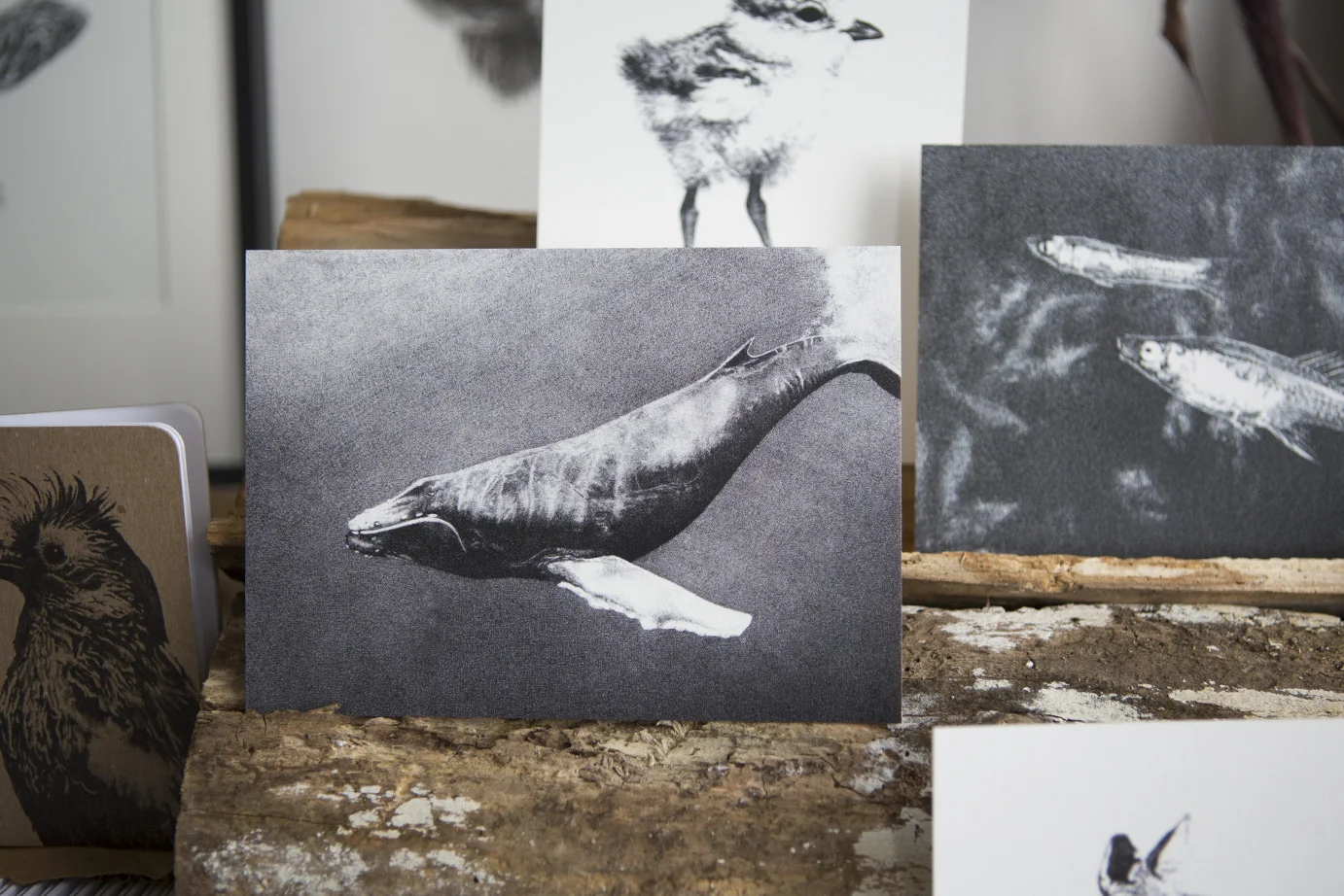Humpback Whale - Flat Card - Rally Caller - Sarah Kaizar - Endangered Species Art