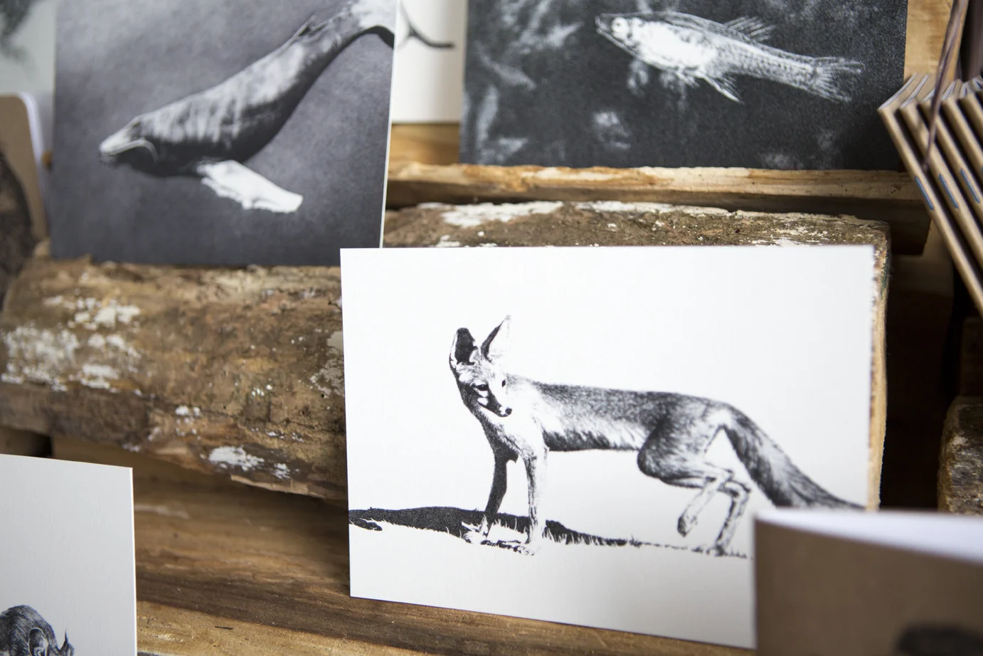 San Joaquin Kit Fox - Flat Card - Rally Caller - Sarah Kaizar - Endangered Species Art