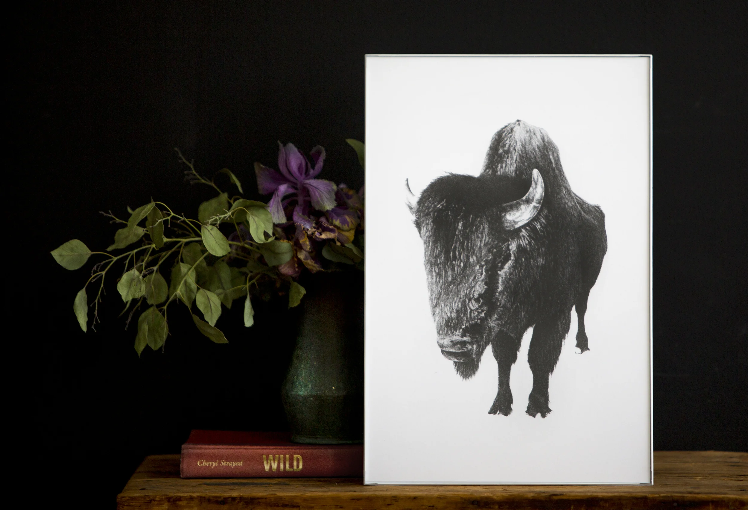 bison_listing.jpg