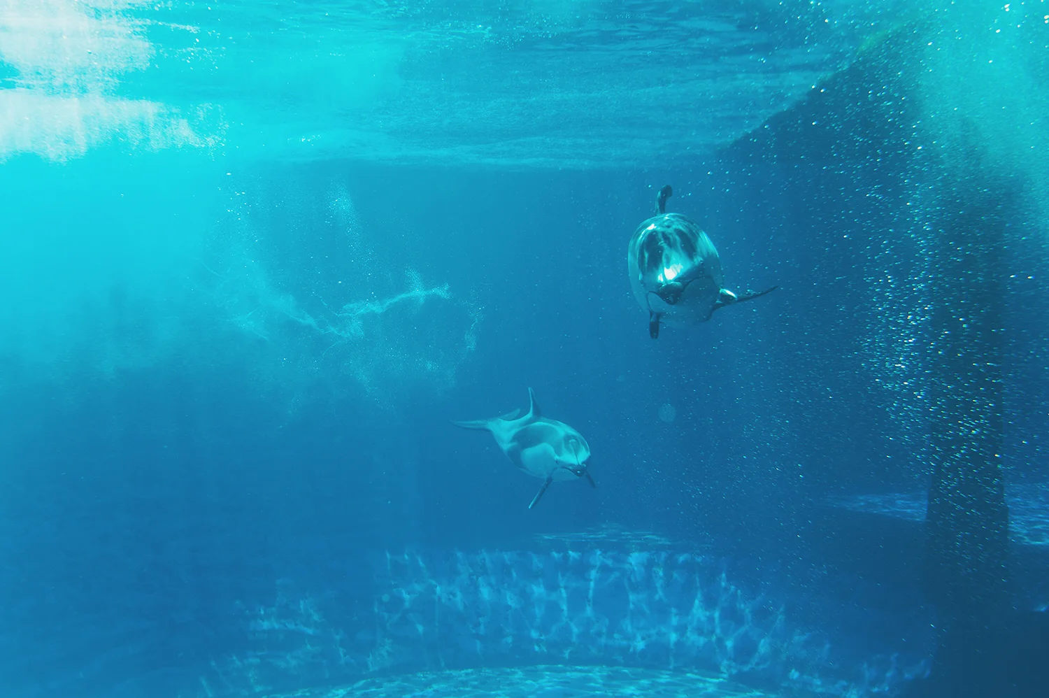 SB1_6712.jpg