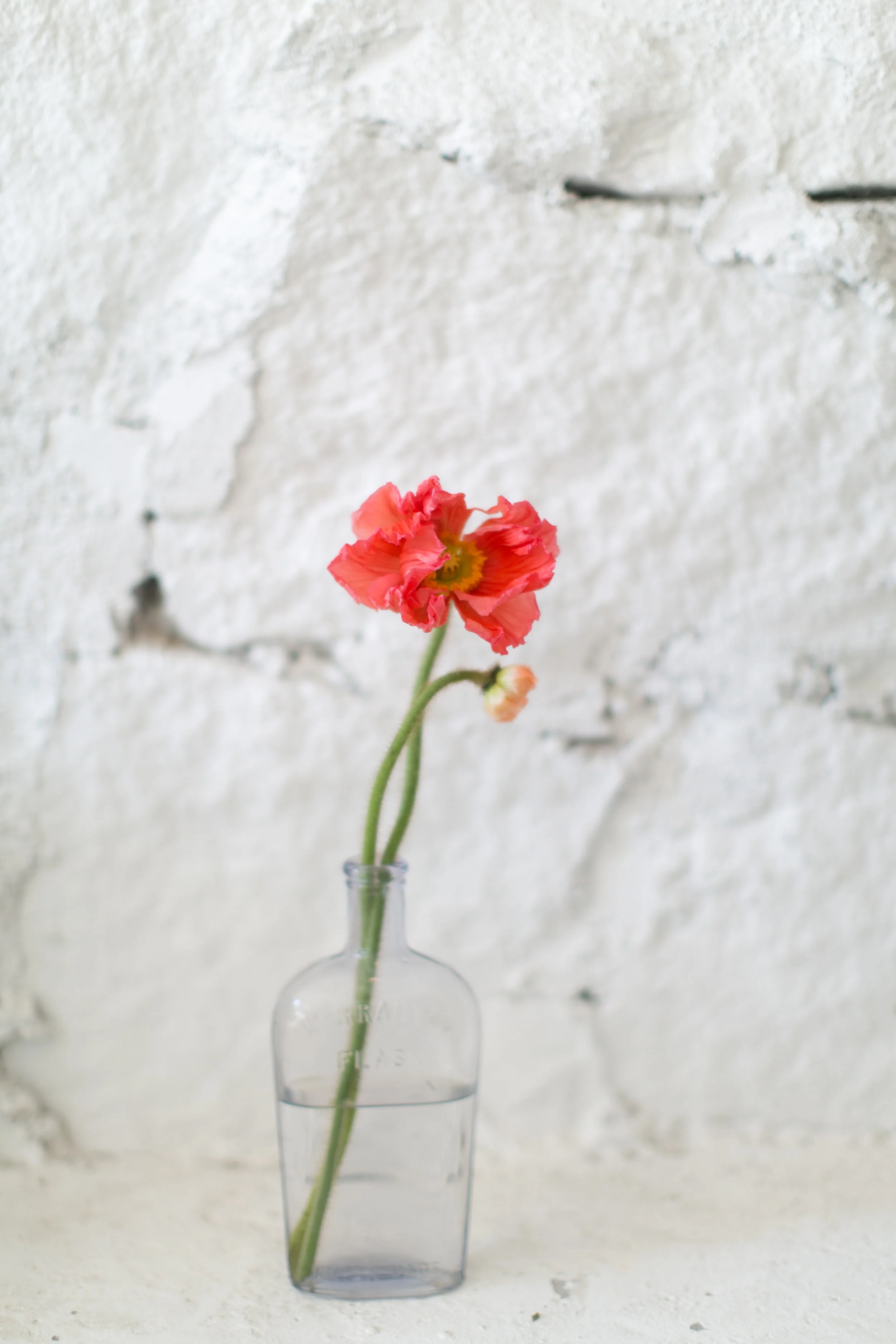 GATHER-GATHER-0019.jpg
