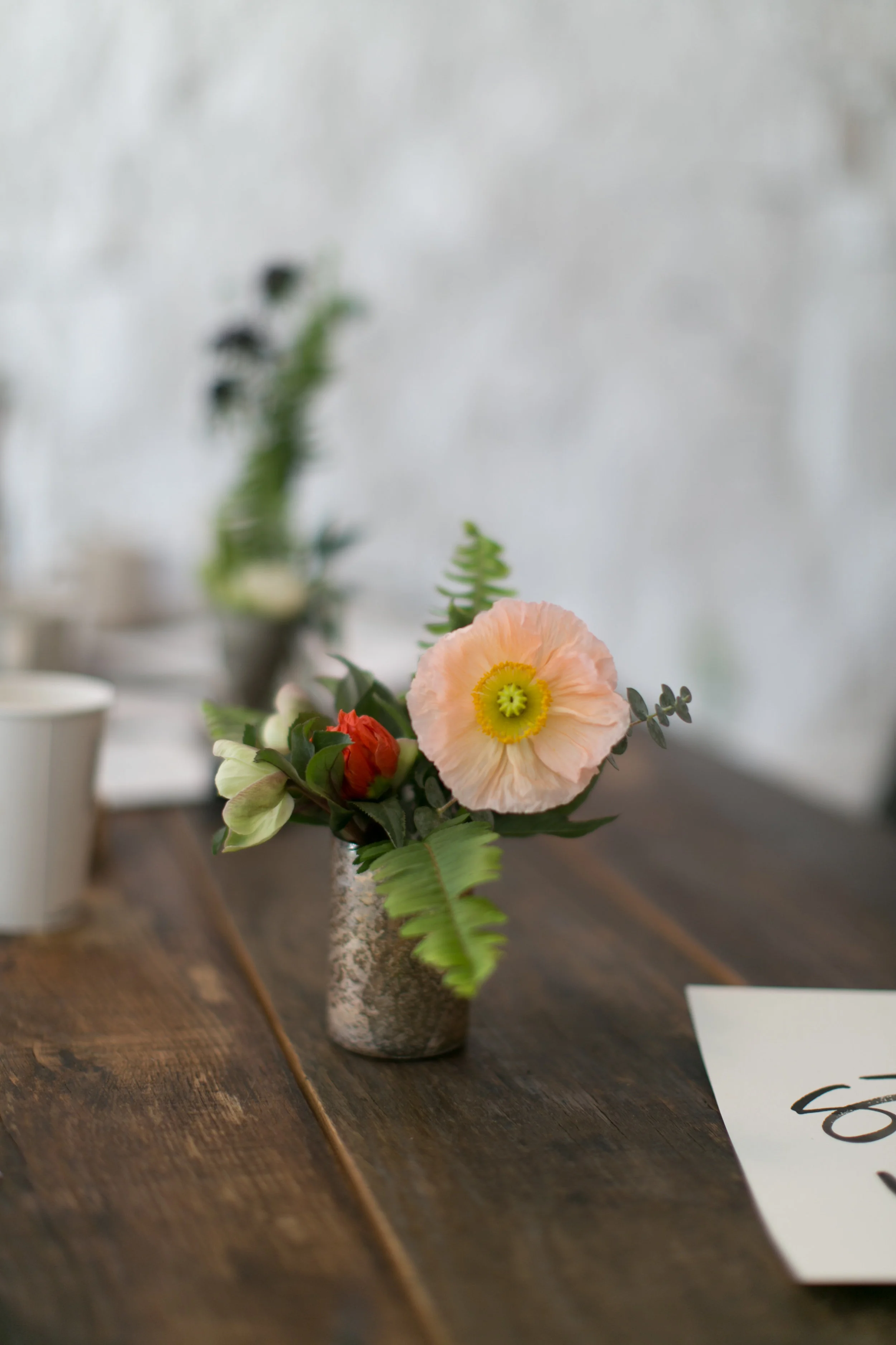 GATHER-GATHER-0048.jpg