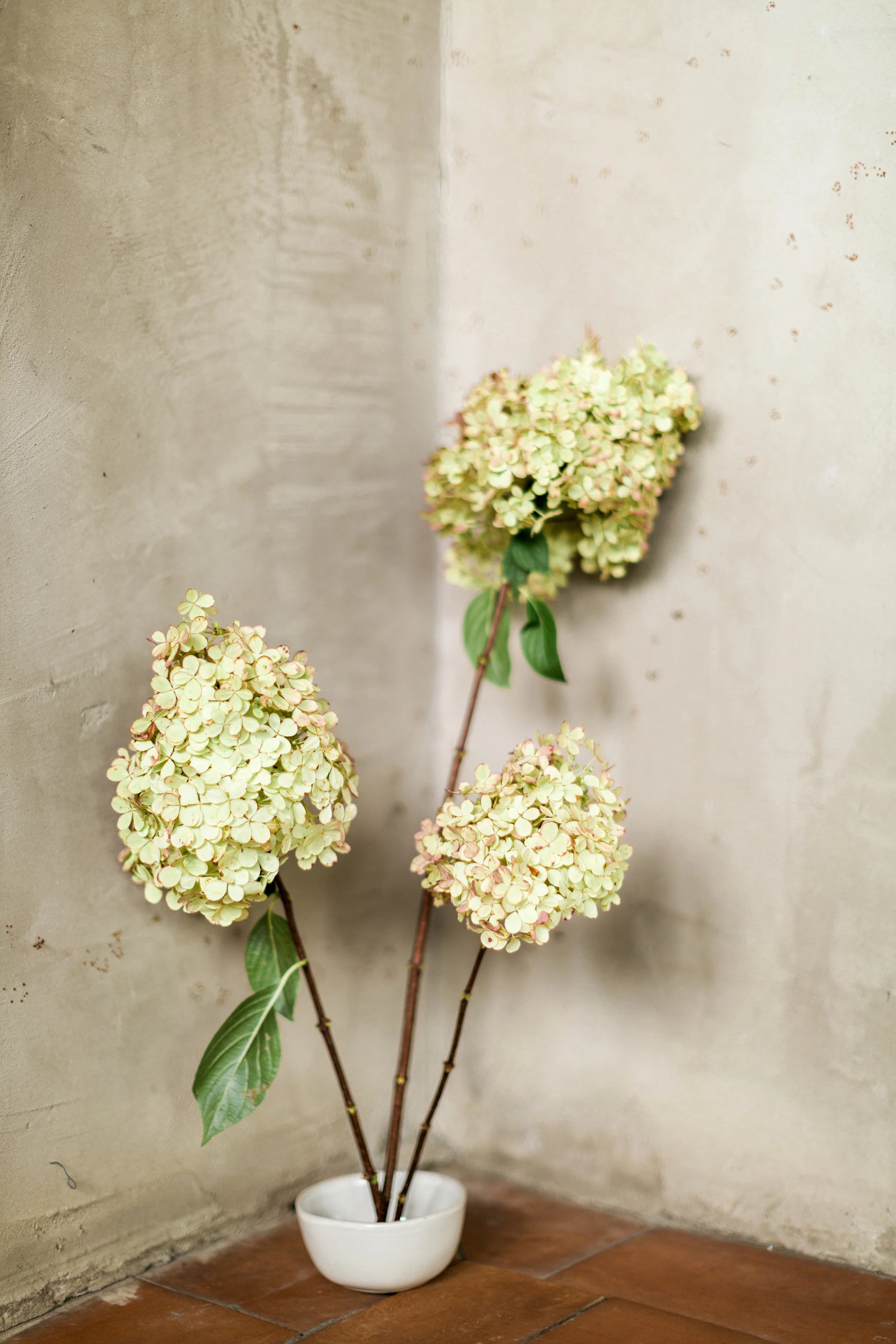 Summerour9_11_18_RusticWhite_034.jpg