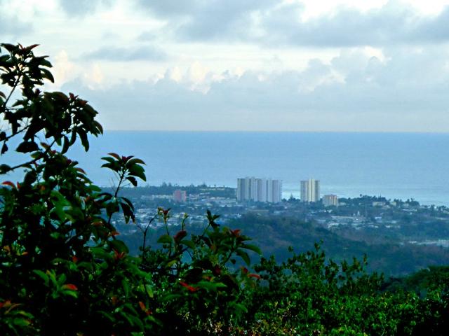 The city of Luquillo is just a few minutes from your door, but you can take in this view while sipping your morning coffee.