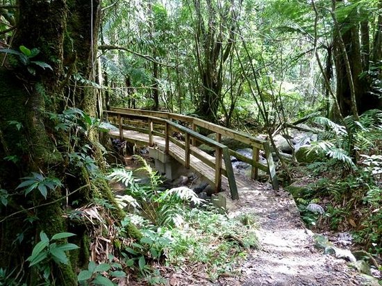 Sue's is just minutes from the El Yunque National Forest entrance.
