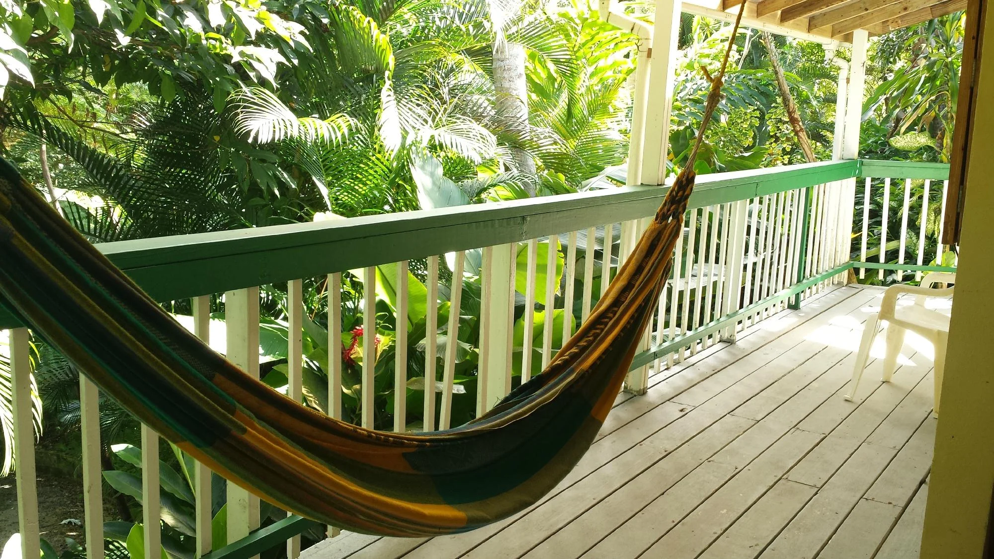 Relax to the sound of coqui's and lizard cuckoo's as you rock gently in one of Sue's porch-side hammocks.