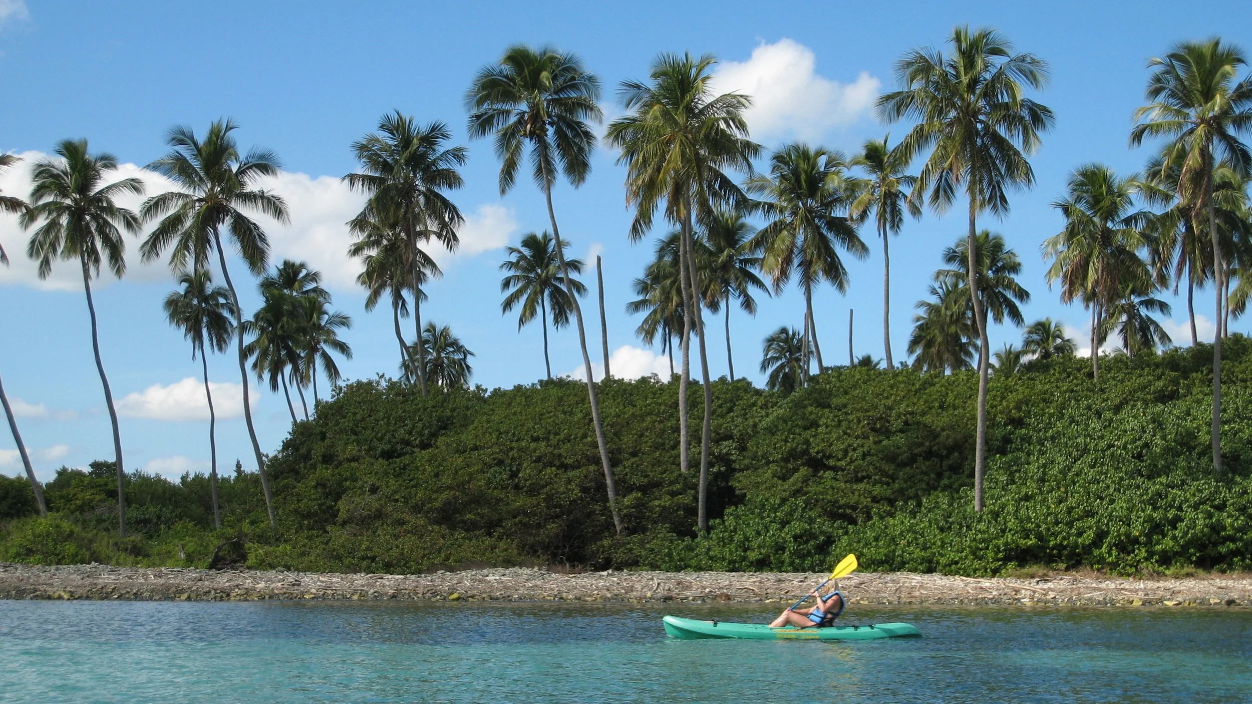 Your hosts would be more than happy to shuttle you to beautiful, mysterious, and historic monkey island.