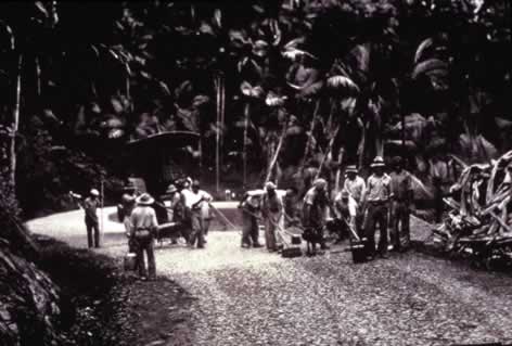 The "tres C's" paving roads in the foothills and forests of what's now the El Yunque National Forest.