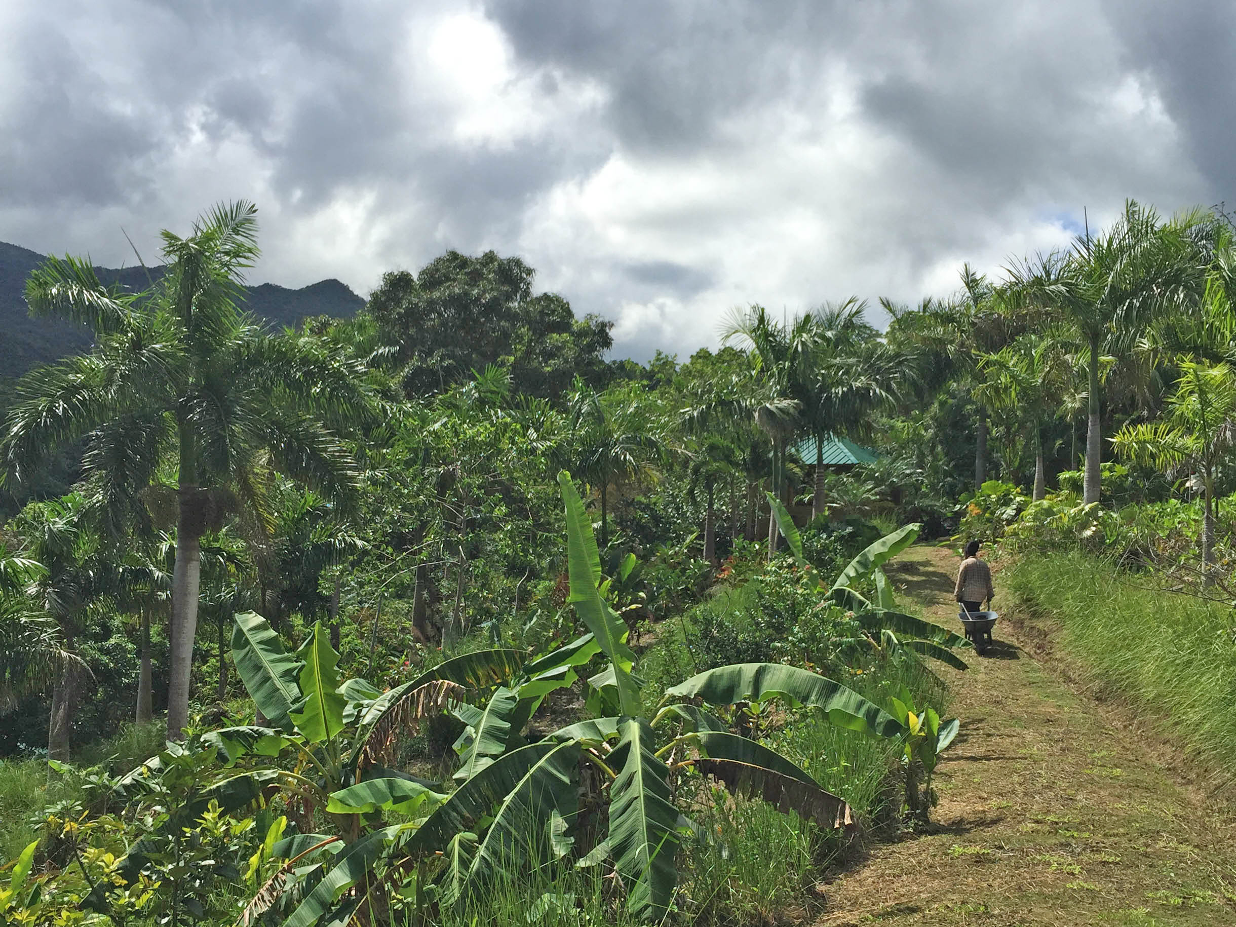 The organic farm.