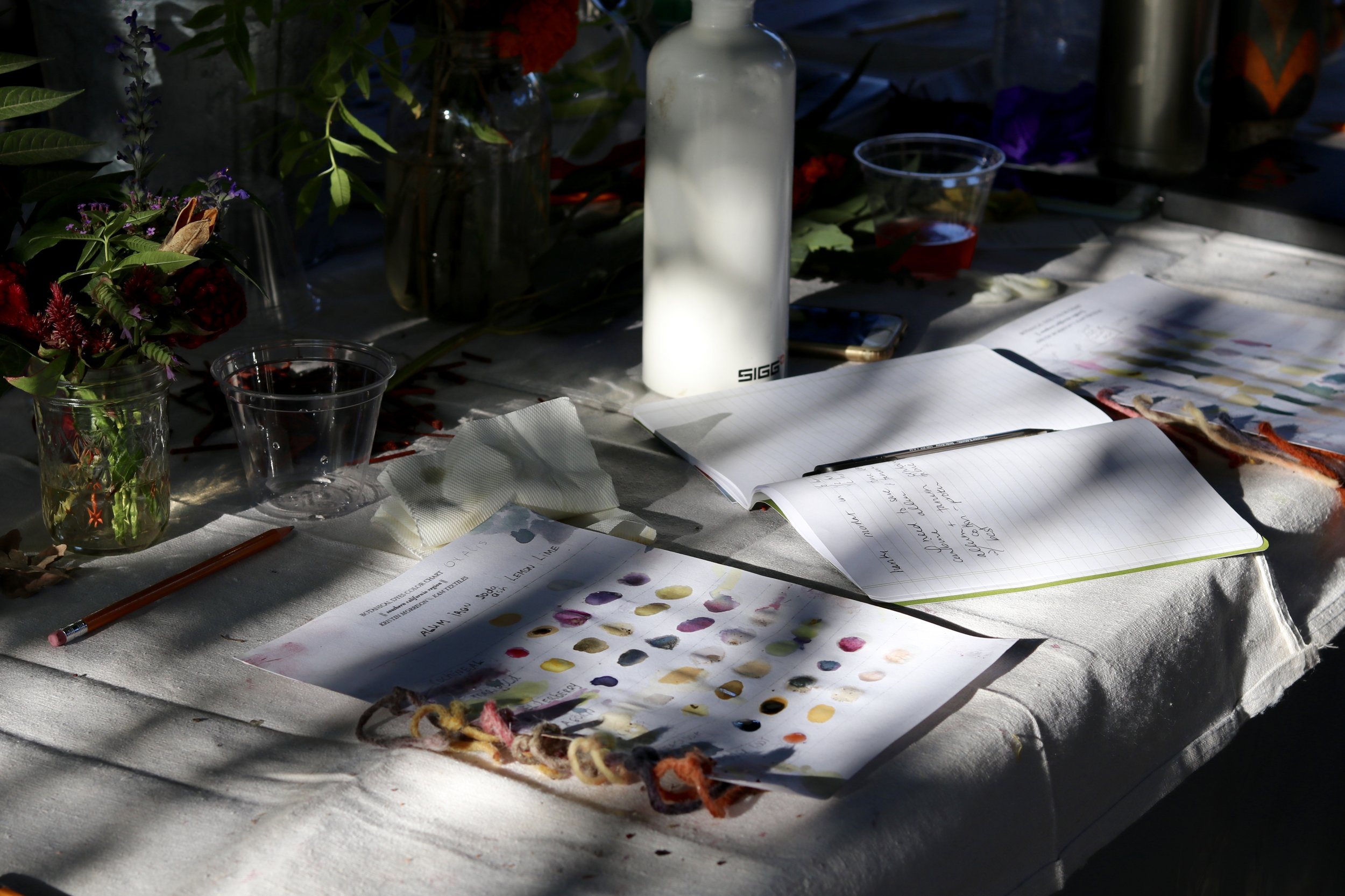 Color chart: cochineal, marigold, elderberry, acorn, oxalis, scabiosa, and madder root, five ways (treated with alum, iron, wood ash, lemon and lime)
