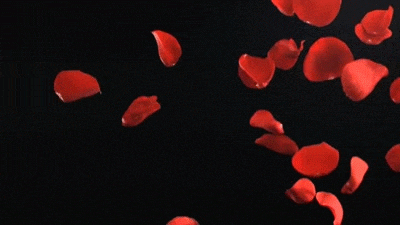 rosepetals.gif
