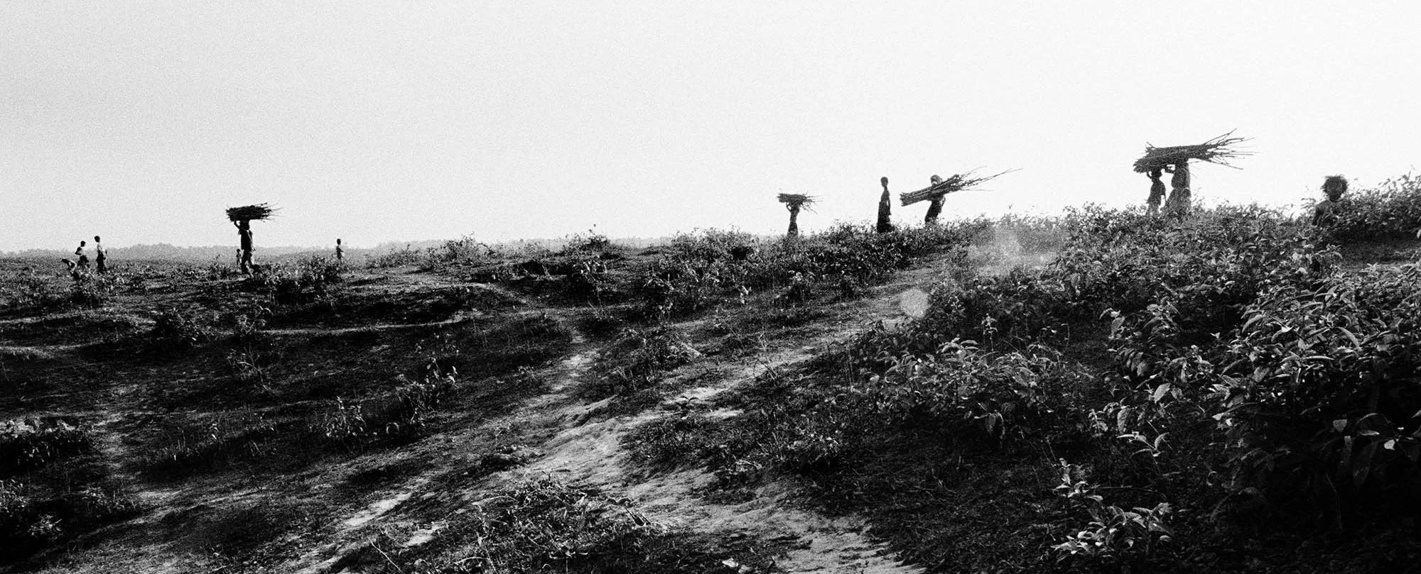 130109ro-30-b.jpg