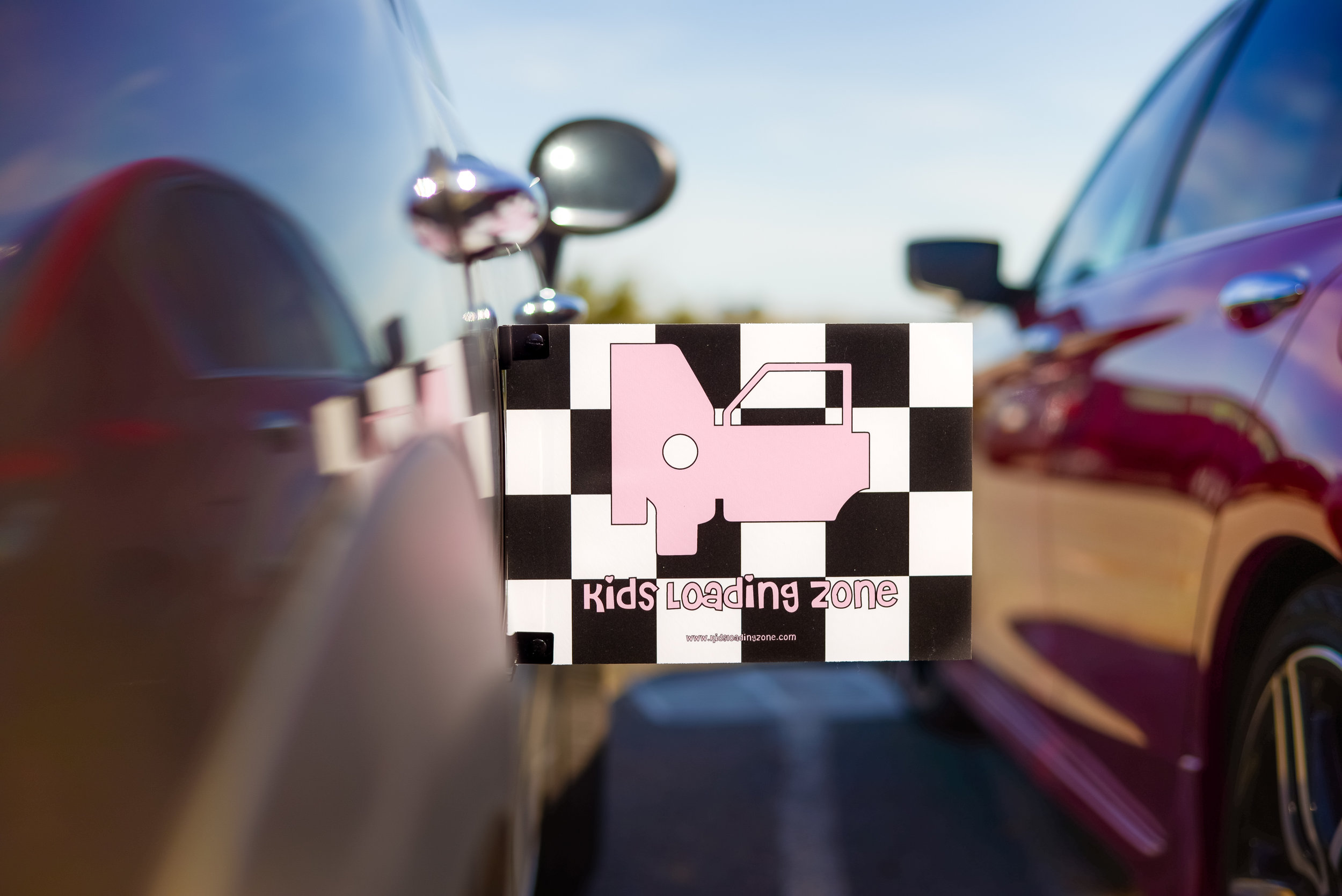 RACING PINK ON CAR.jpg
