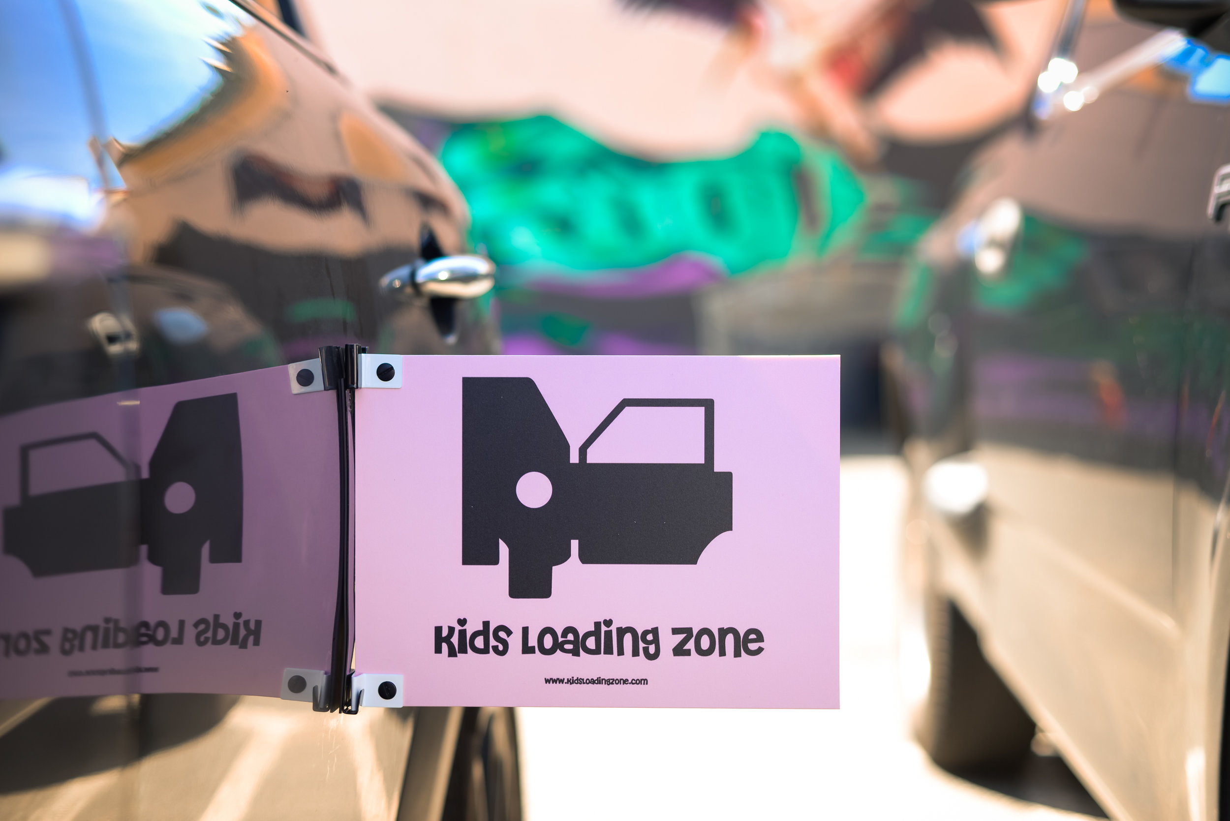 PINK STANDARD ON CAR.jpg