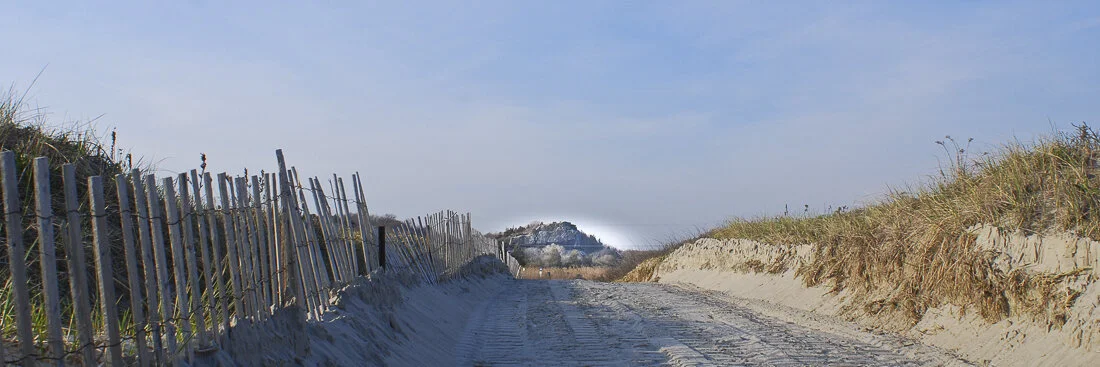20090427-DSC_5270.jpg