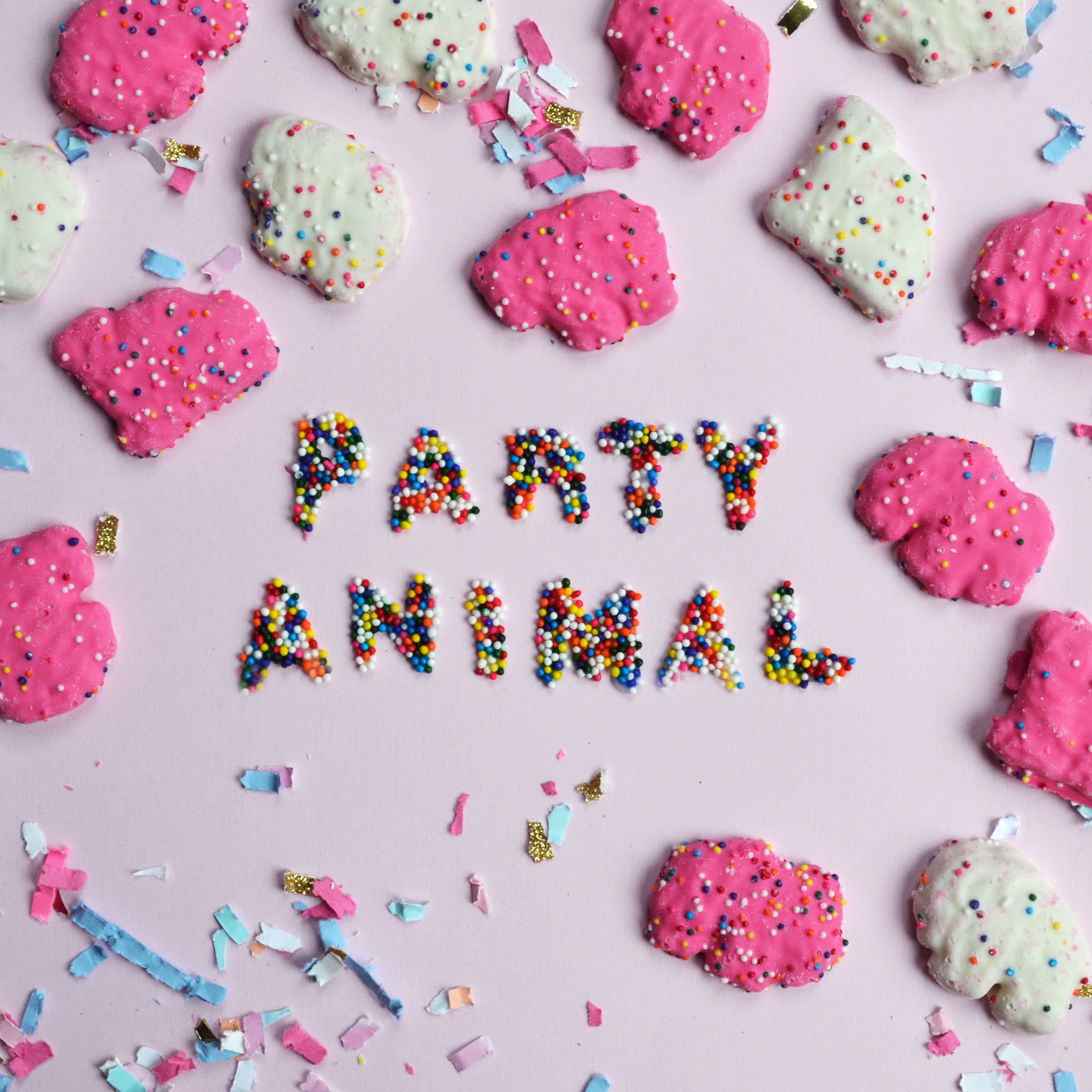 party-animal2 copy.jpg