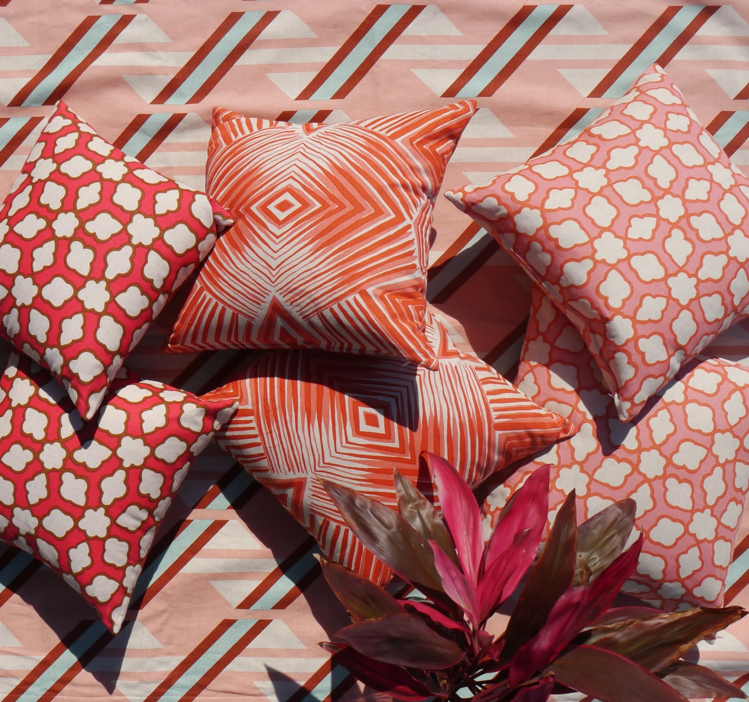 photo apr 24, 9 22 46 am.JPG