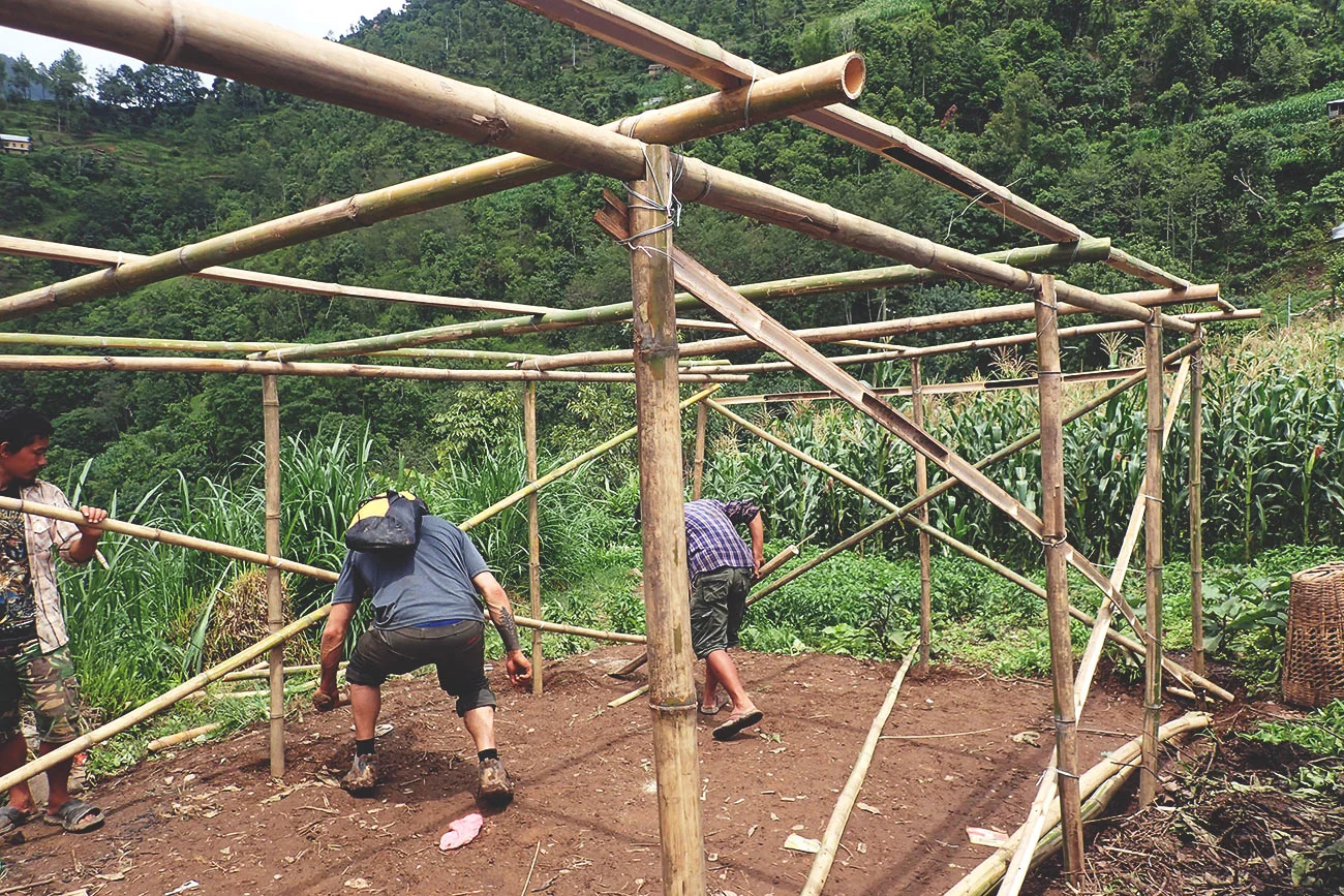 bambooshelters.jpg