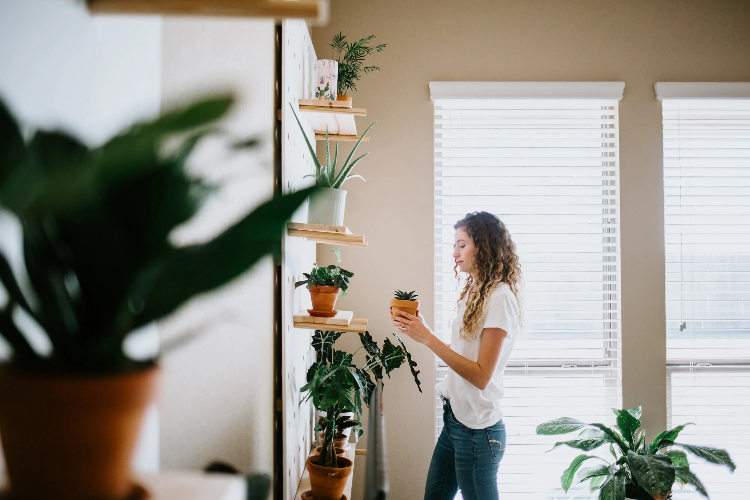 AdobeStock_246497300.jpeg